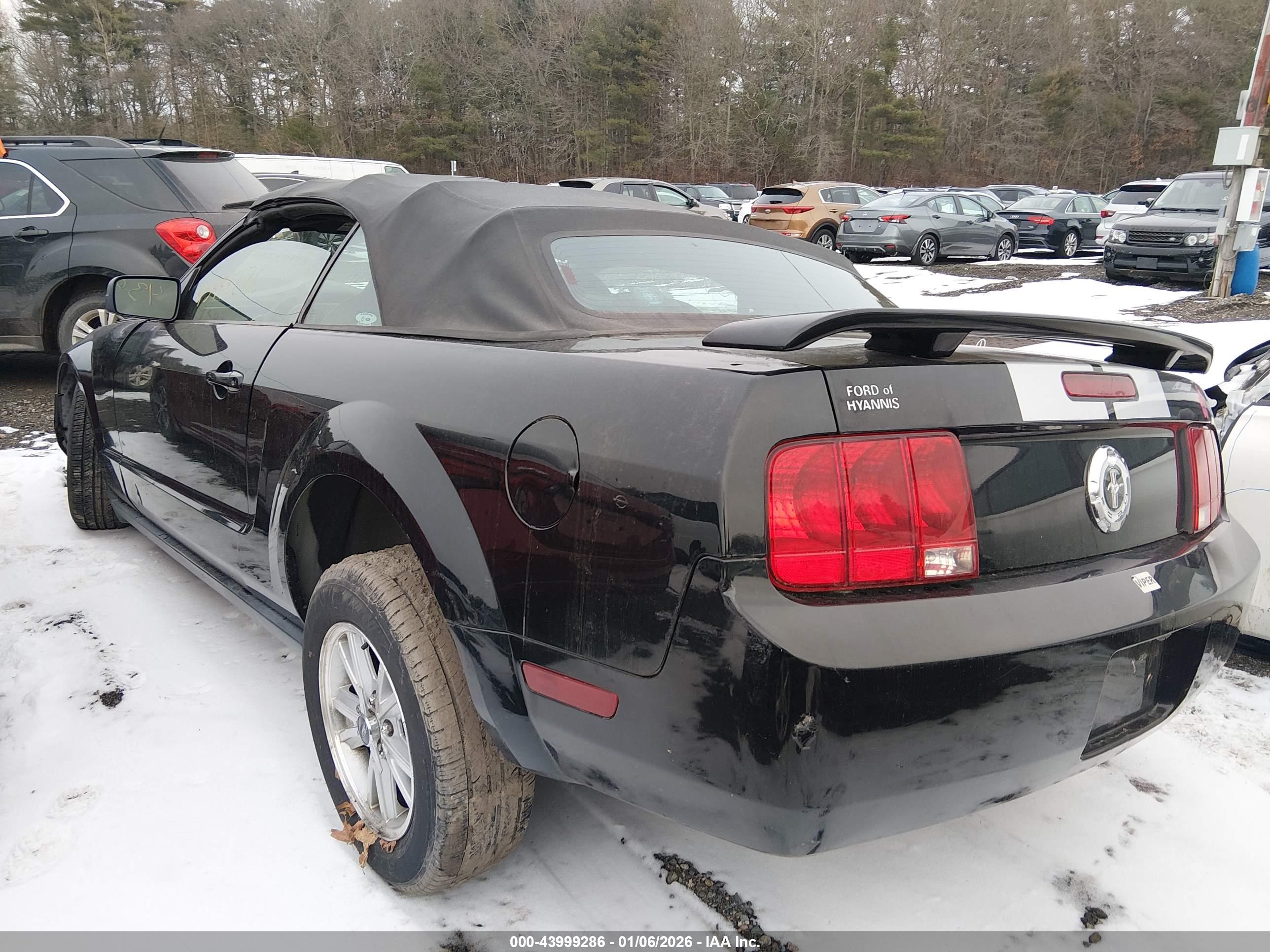 FORD MUSTANG image 3
