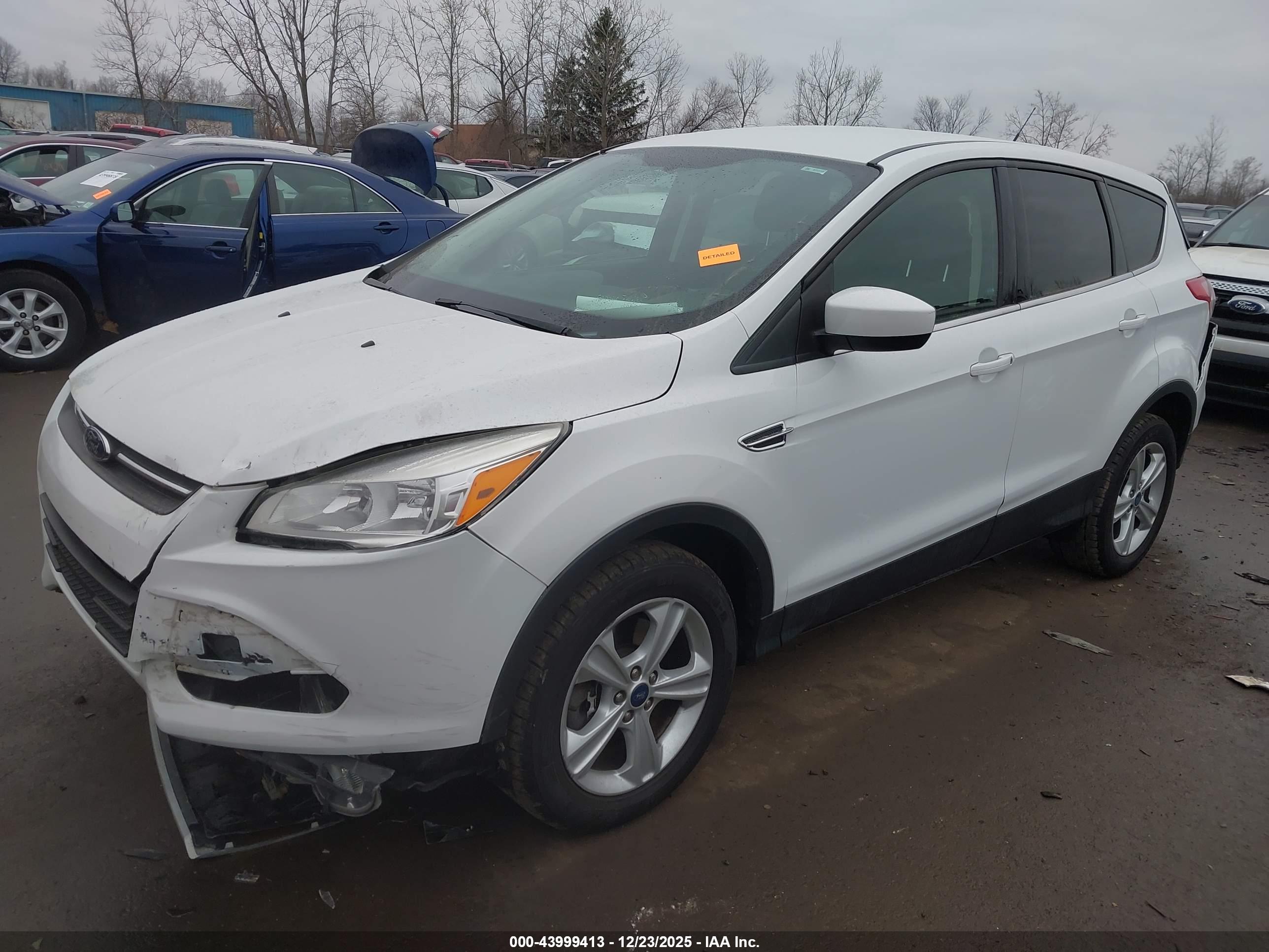 FORD ESCAPE image 2