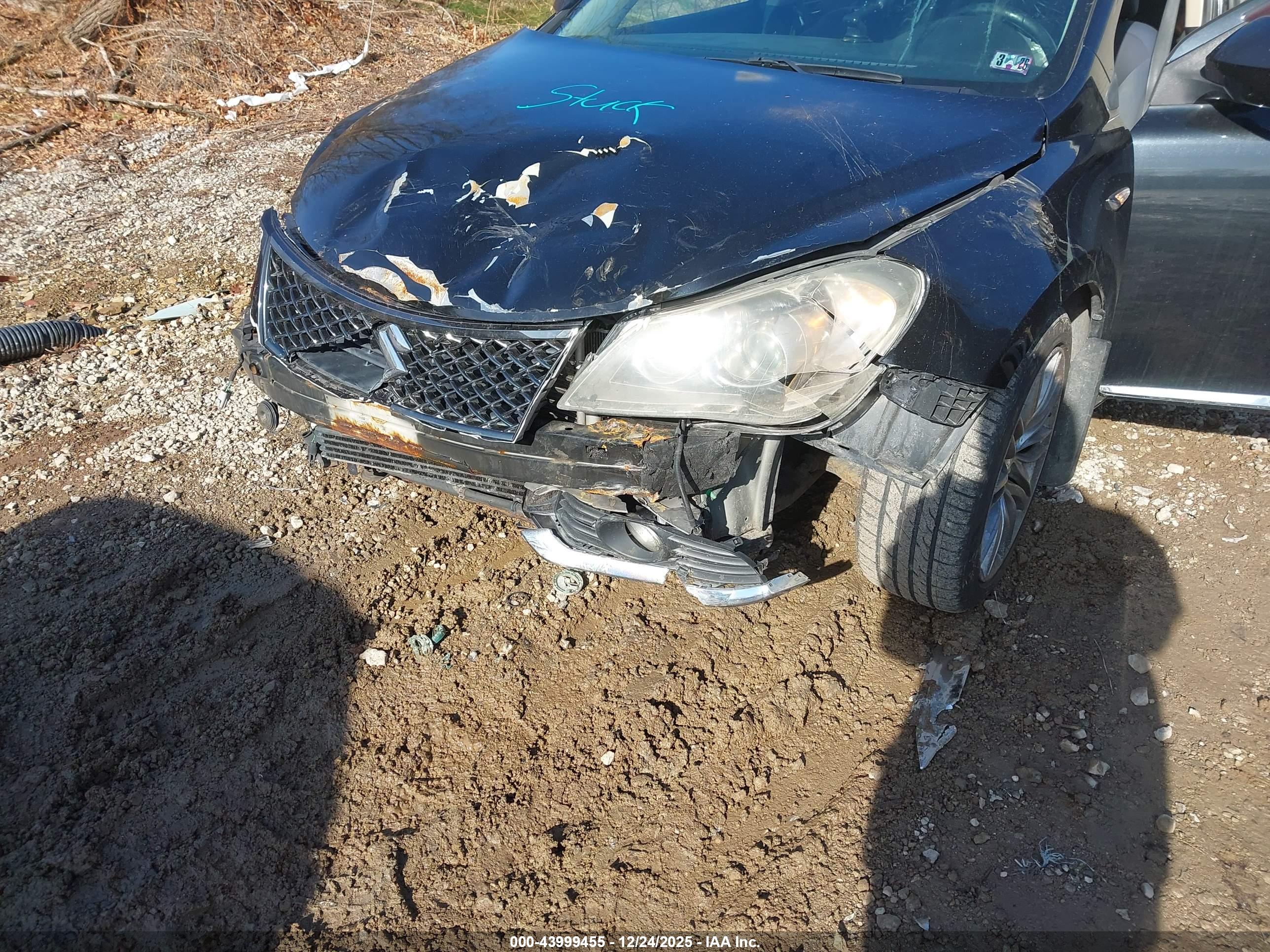 SUZUKI KIZASHI image 6