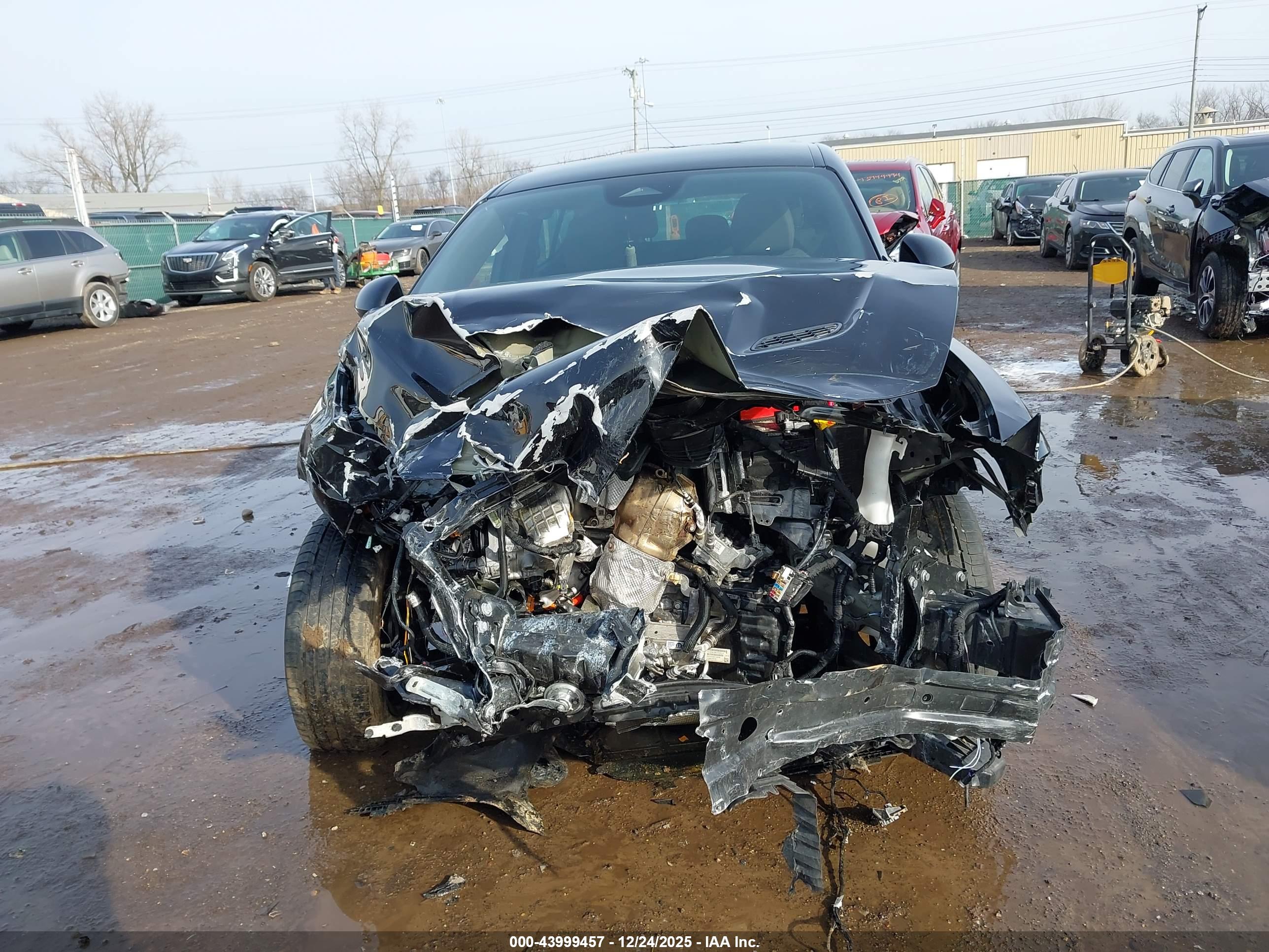 DODGE HORNET image 6