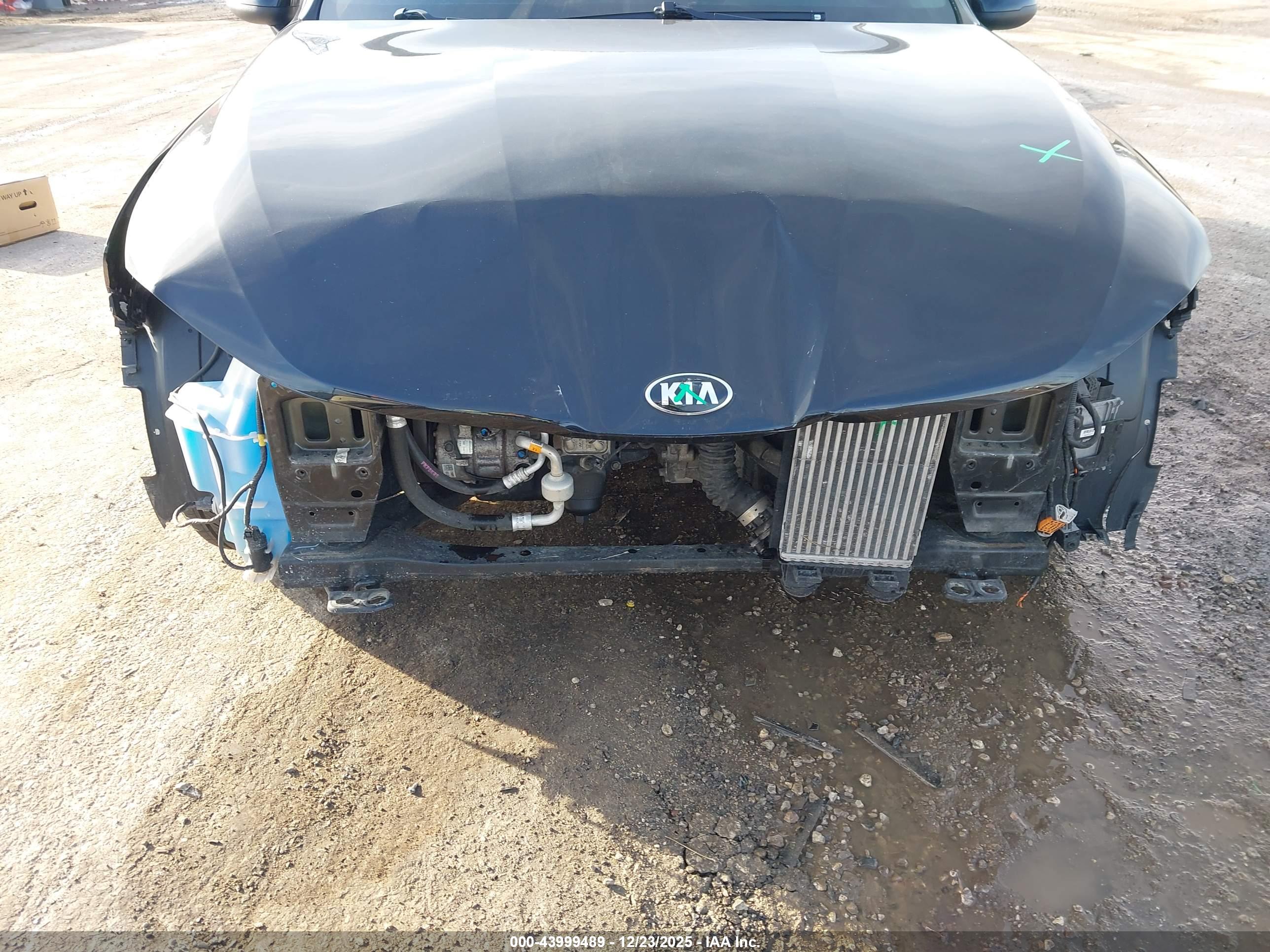 KIA K5 image 6