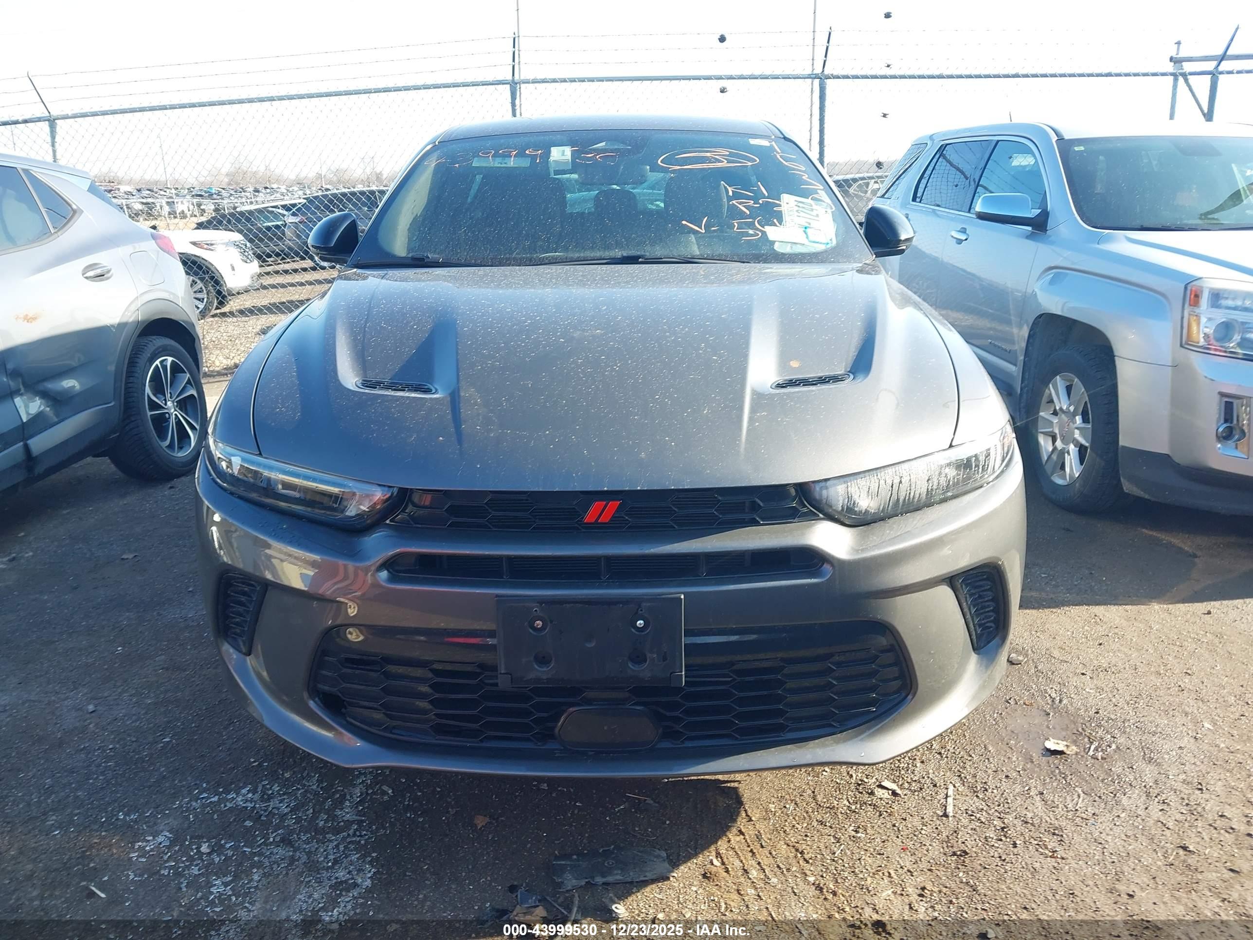 DODGE HORNET image 6