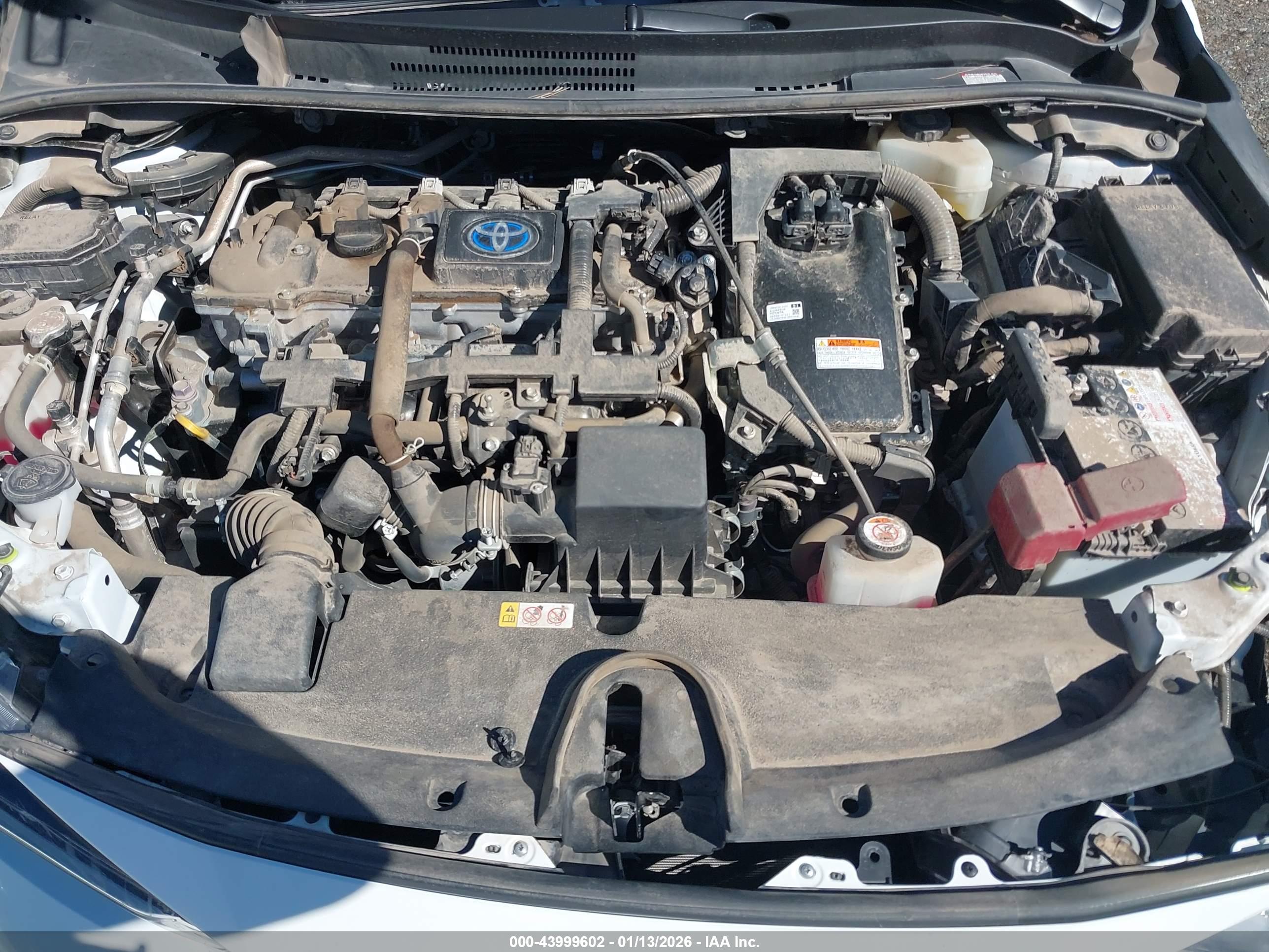 TOYOTA COROLLA image 10