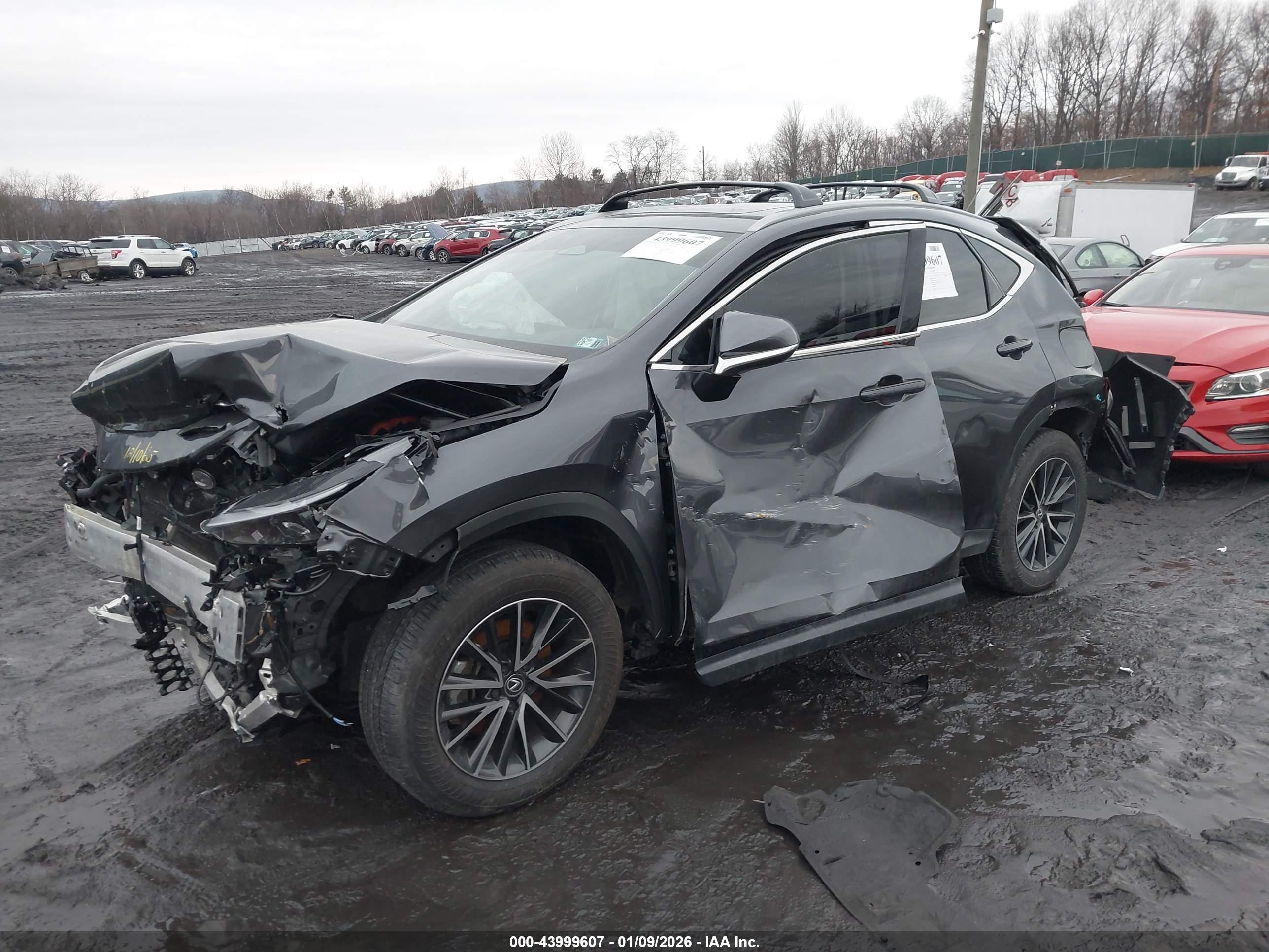 LEXUS NX image 2