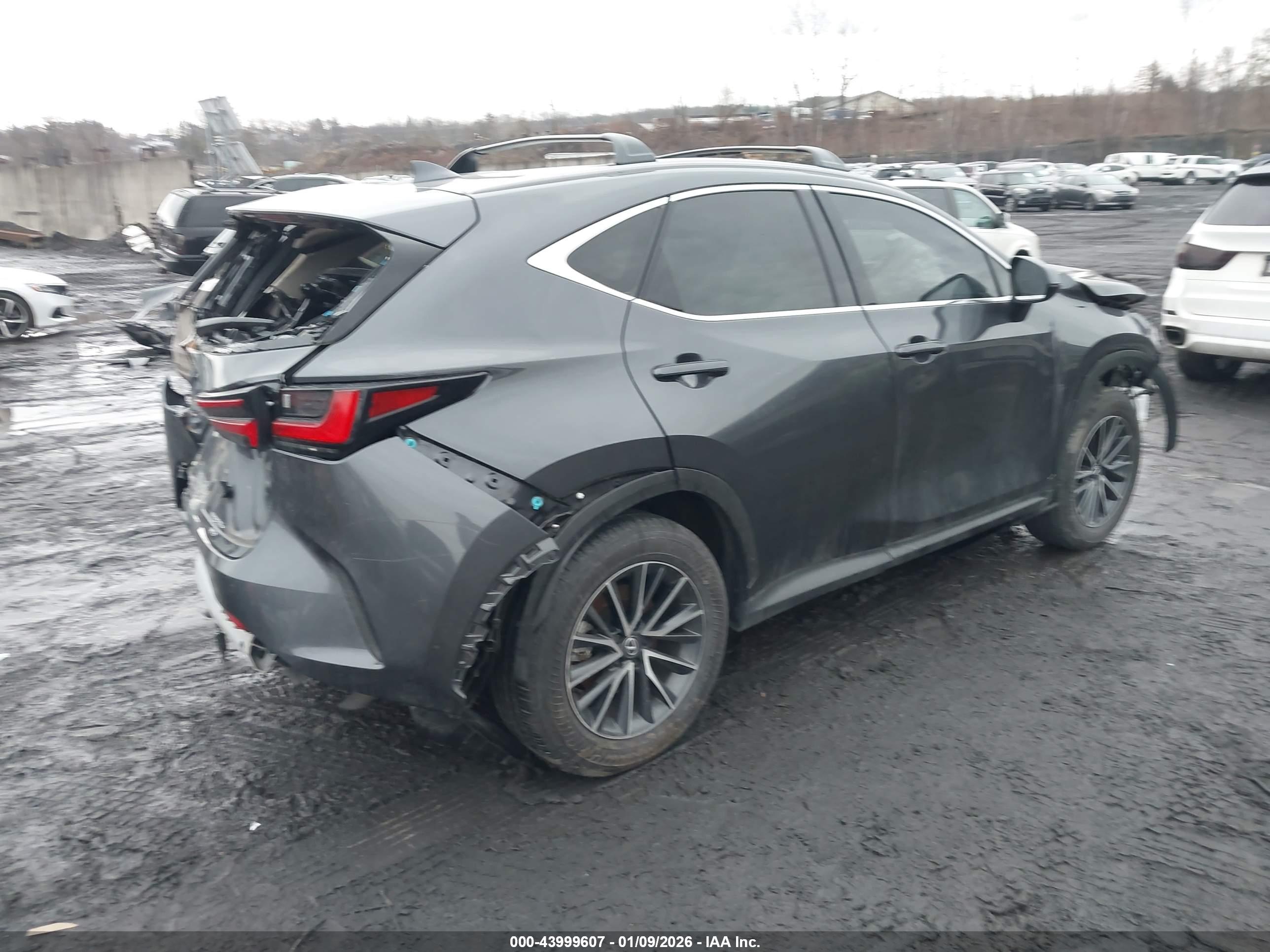 LEXUS NX image 4