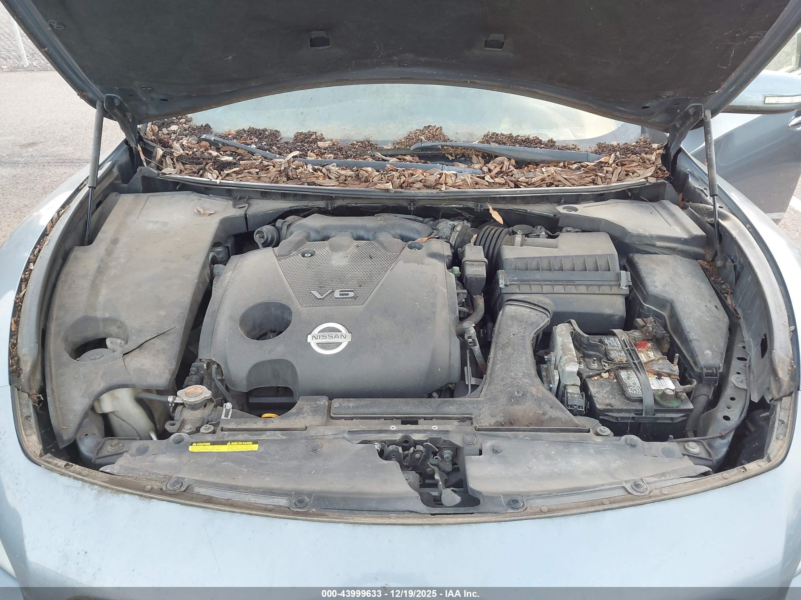 NISSAN MAXIMA image 10