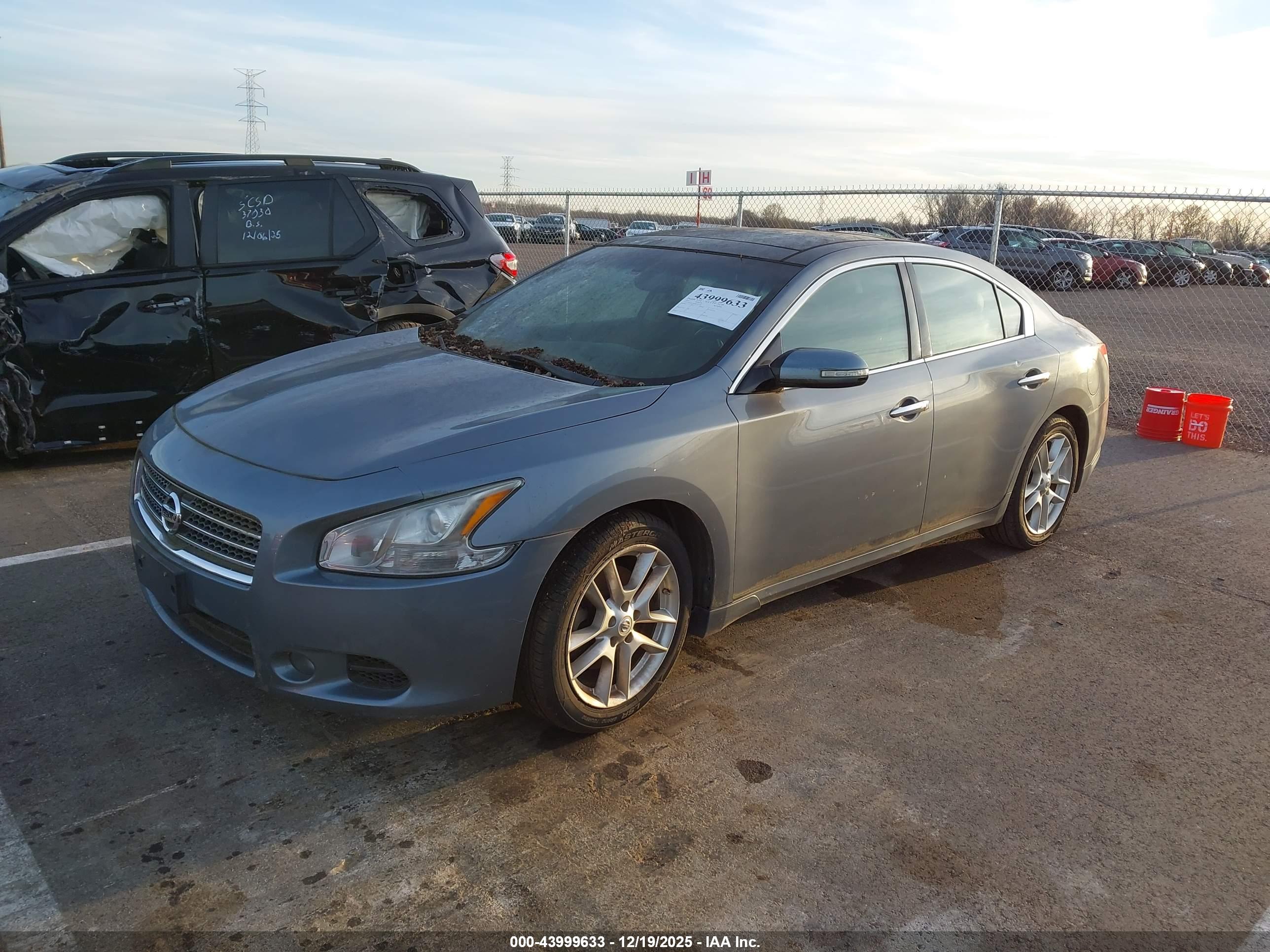 NISSAN MAXIMA image 2