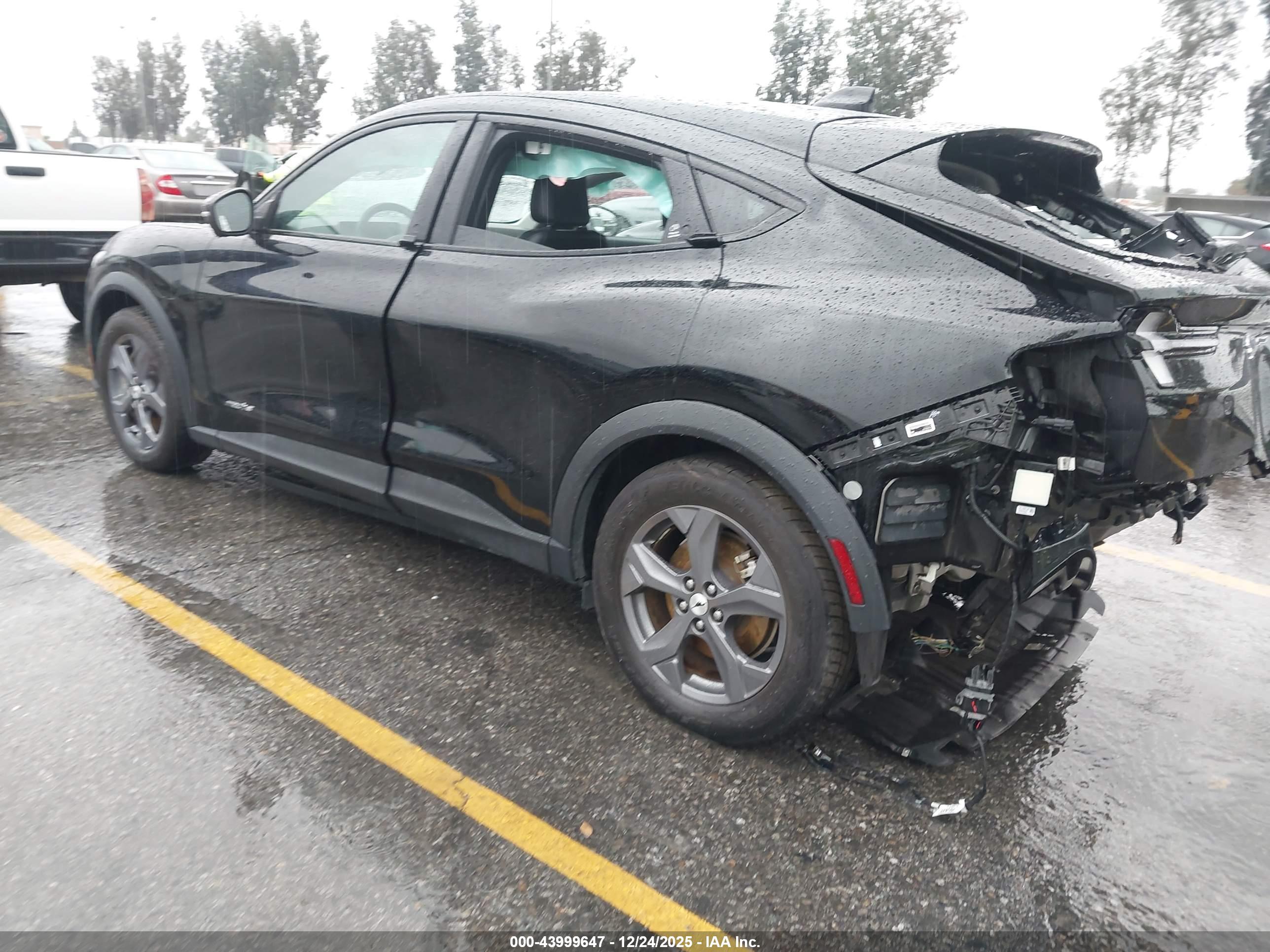FORD MUSTANG image 3