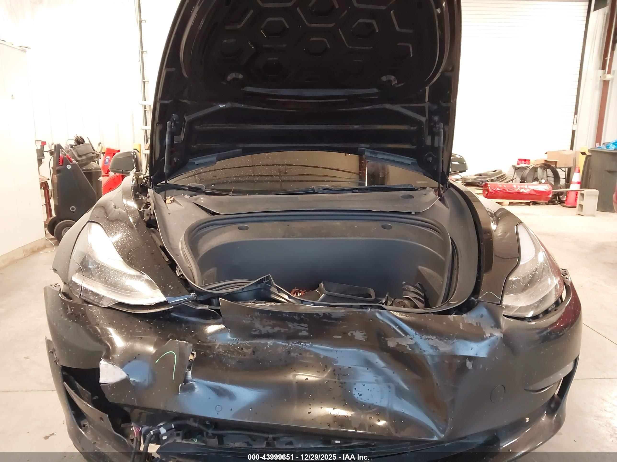 TESLA MODEL image 10