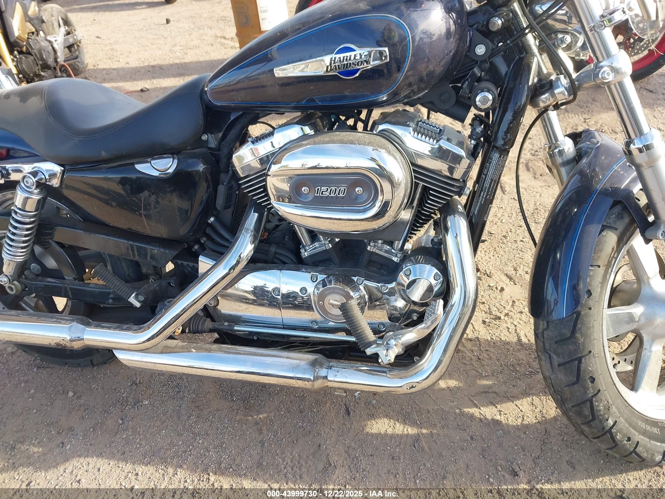HARLEY-DAVIDSON XL1200 image 8
