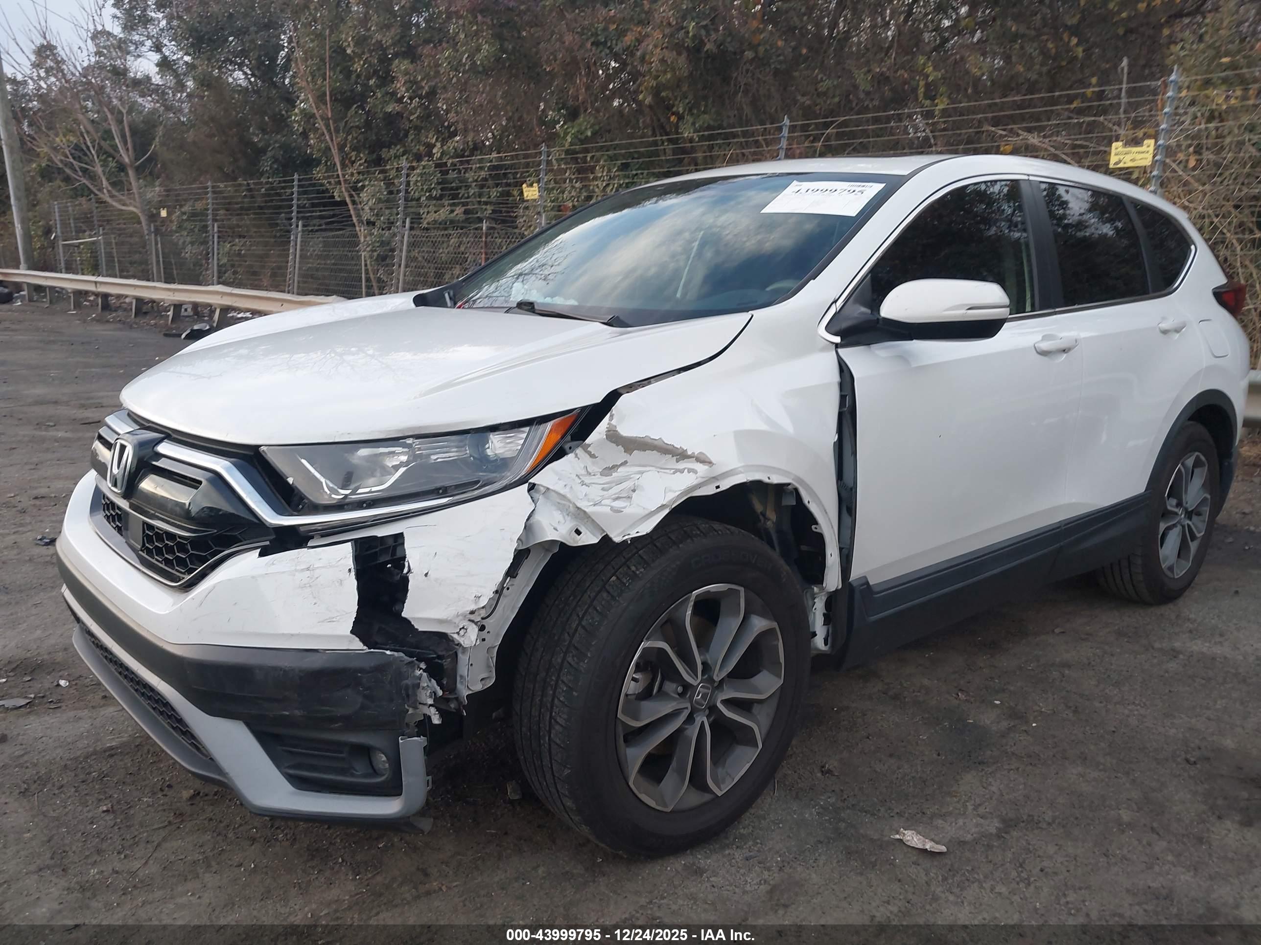 HONDA CR-V image 6