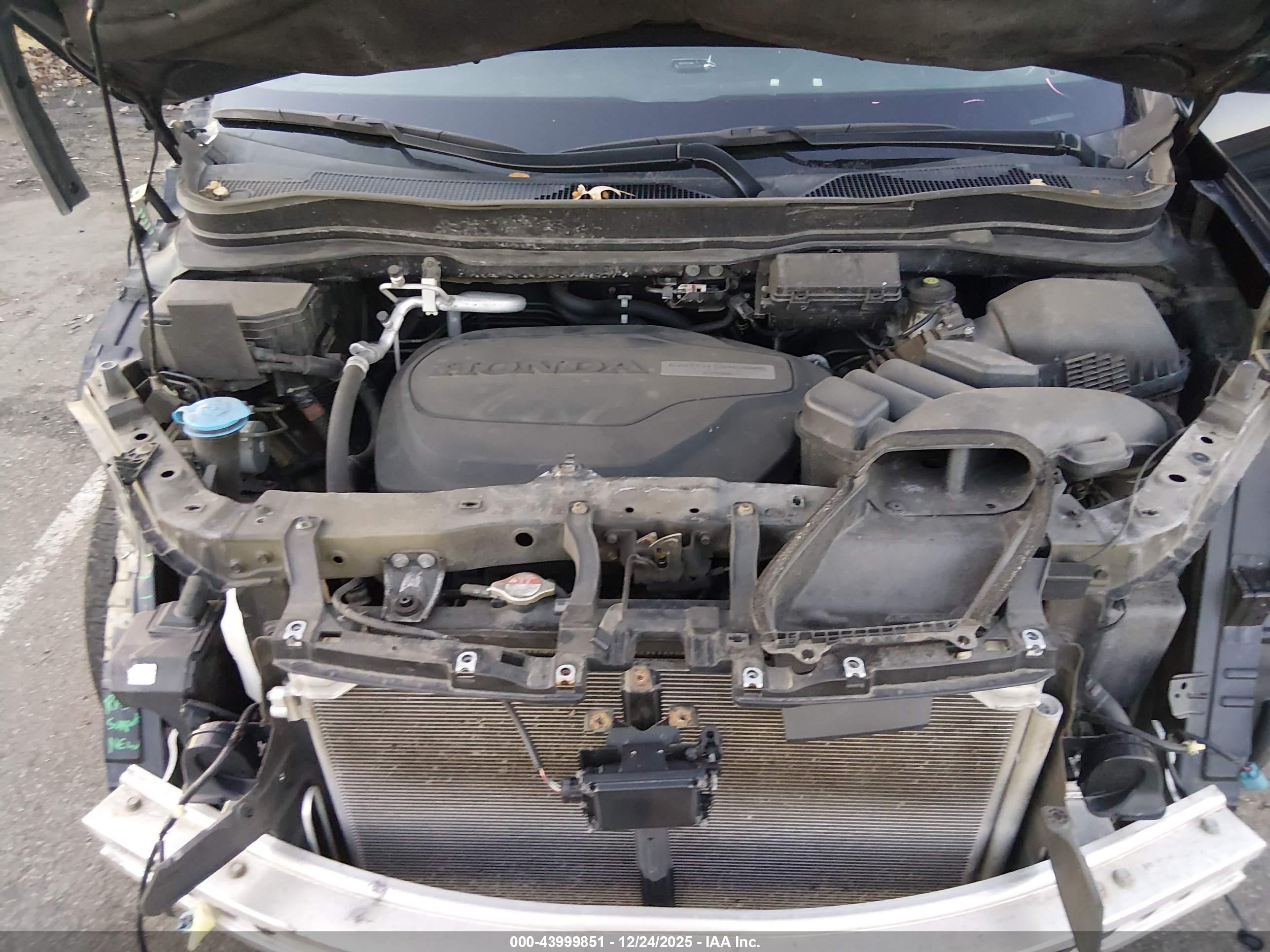 HONDA PASSPORT image 10