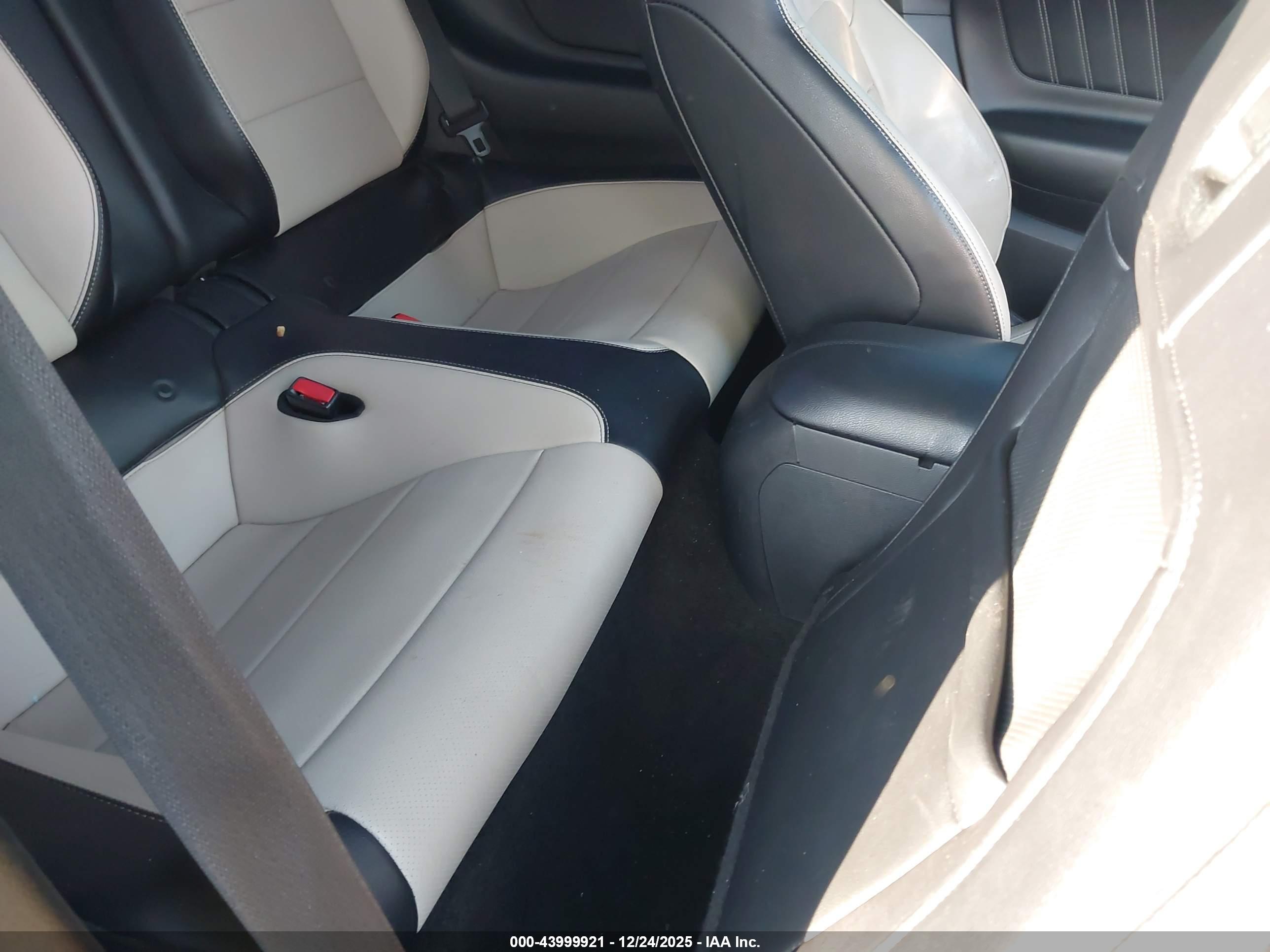 FORD MUSTANG image 8