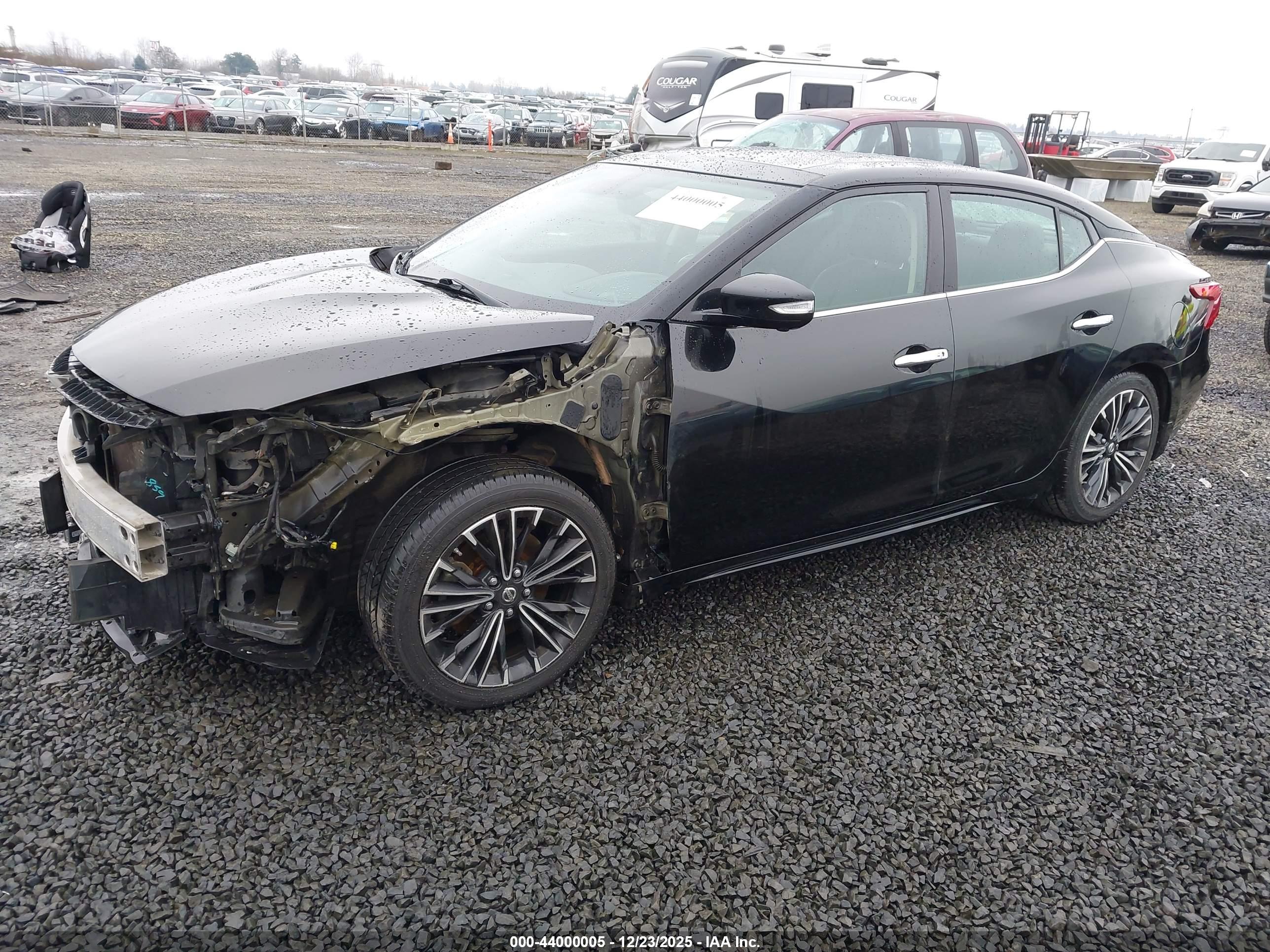 NISSAN MAXIMA image 2