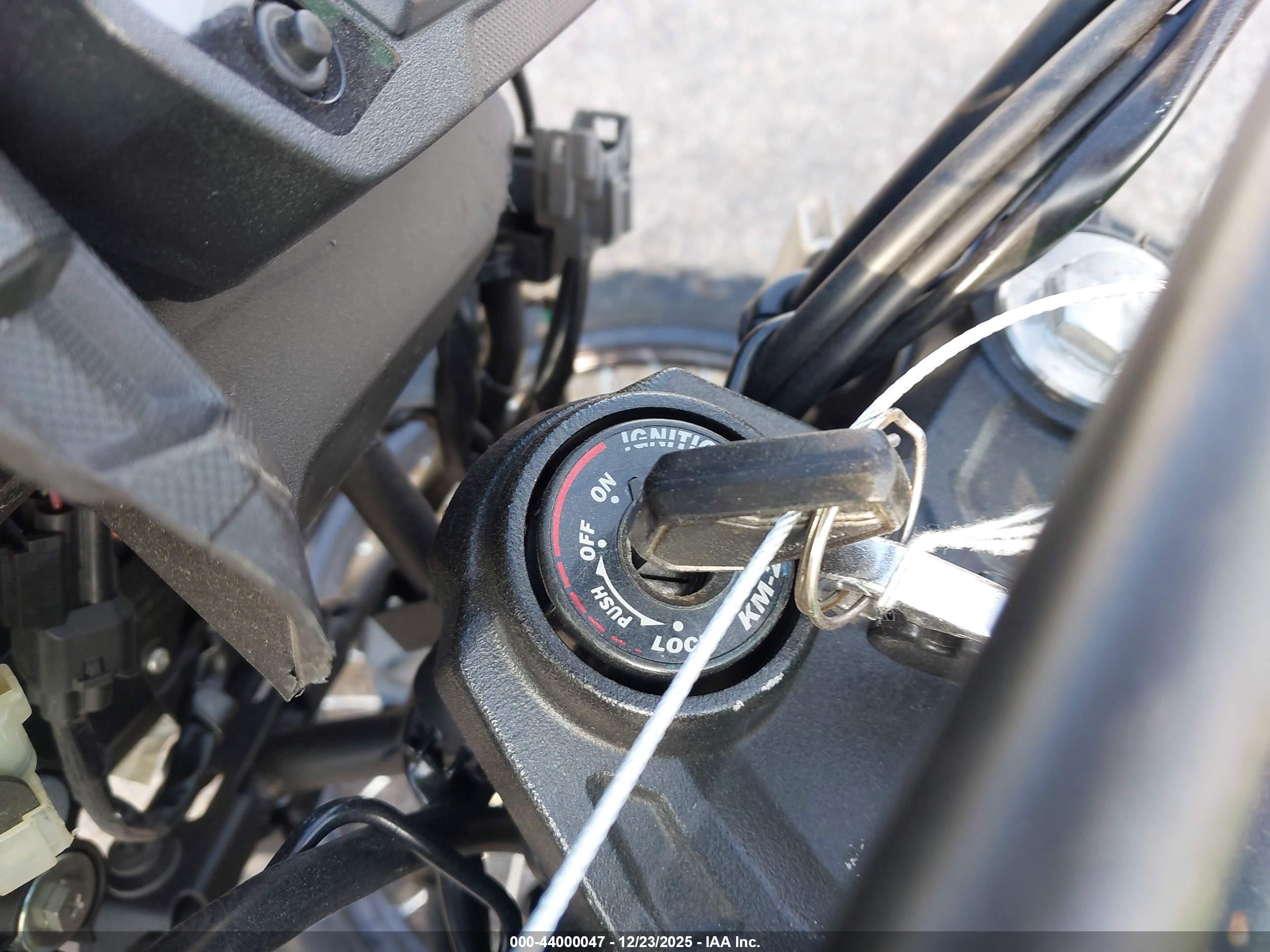 KAWASAKI KL650 image 11