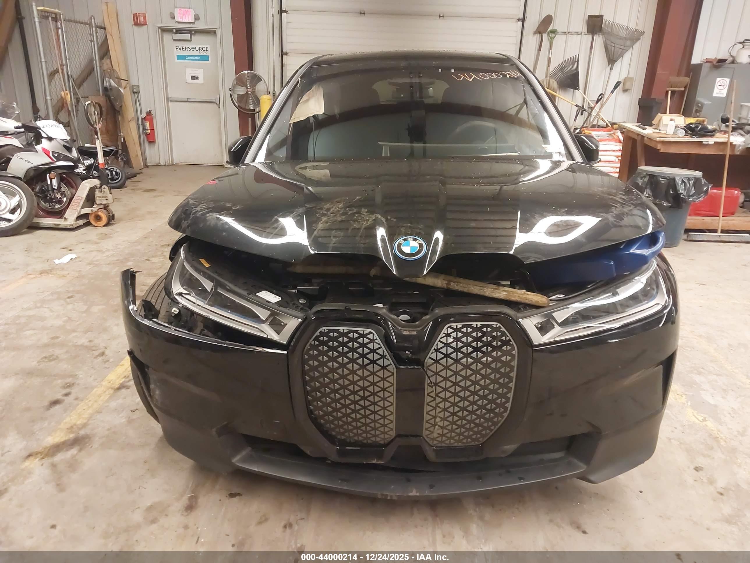 BMW IX image 10
