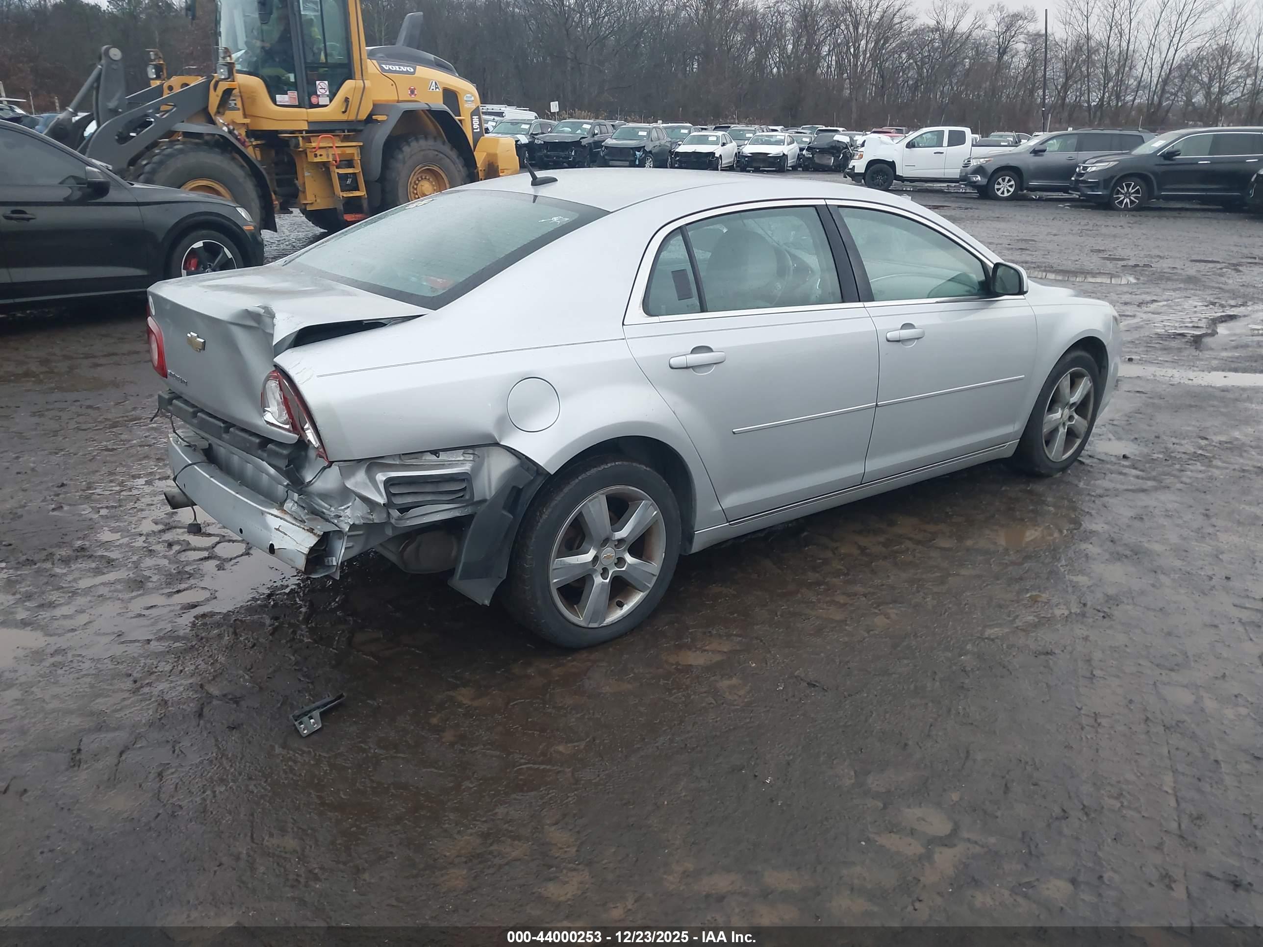 CHEVROLET MALIBU image 4