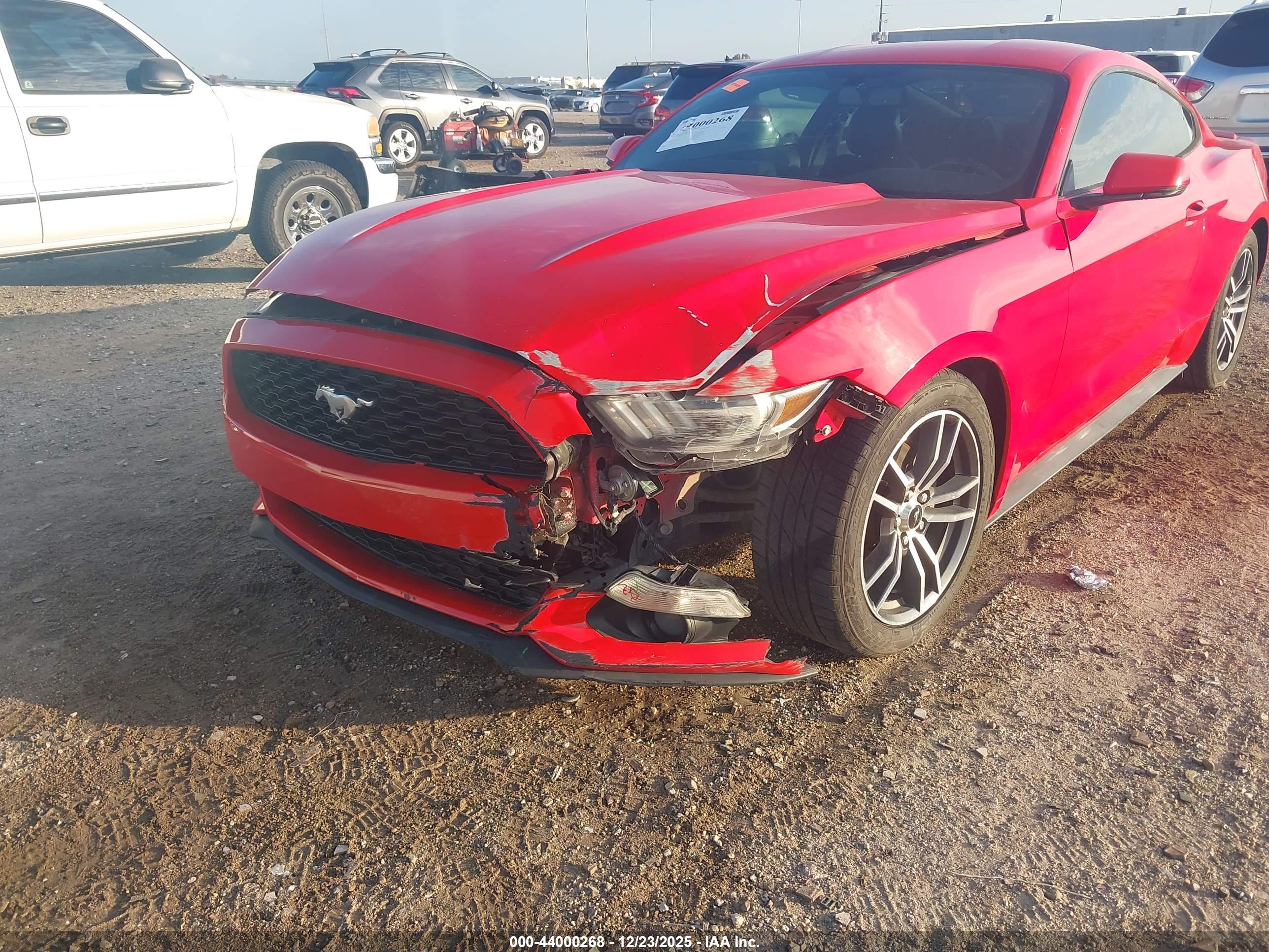 FORD MUSTANG image 6