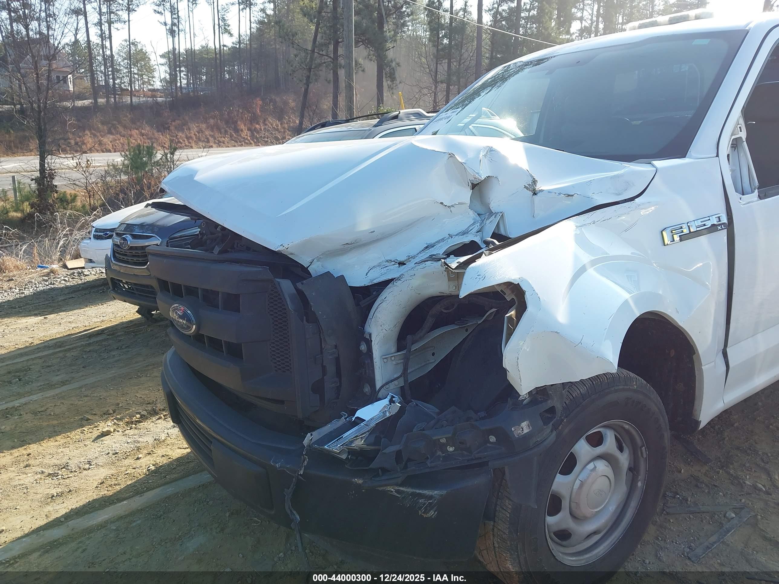 FORD F-150 image 6