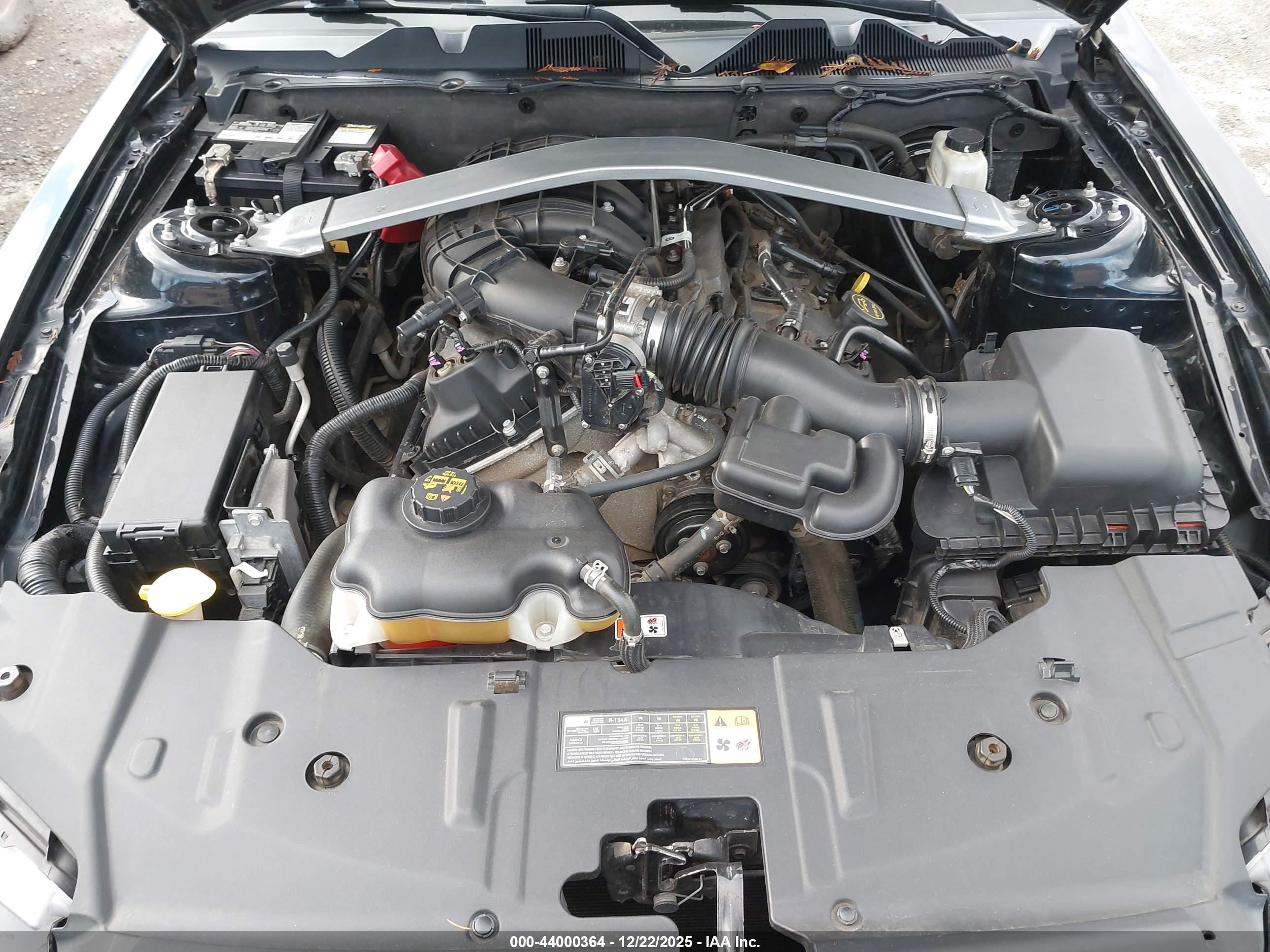FORD MUSTANG image 10