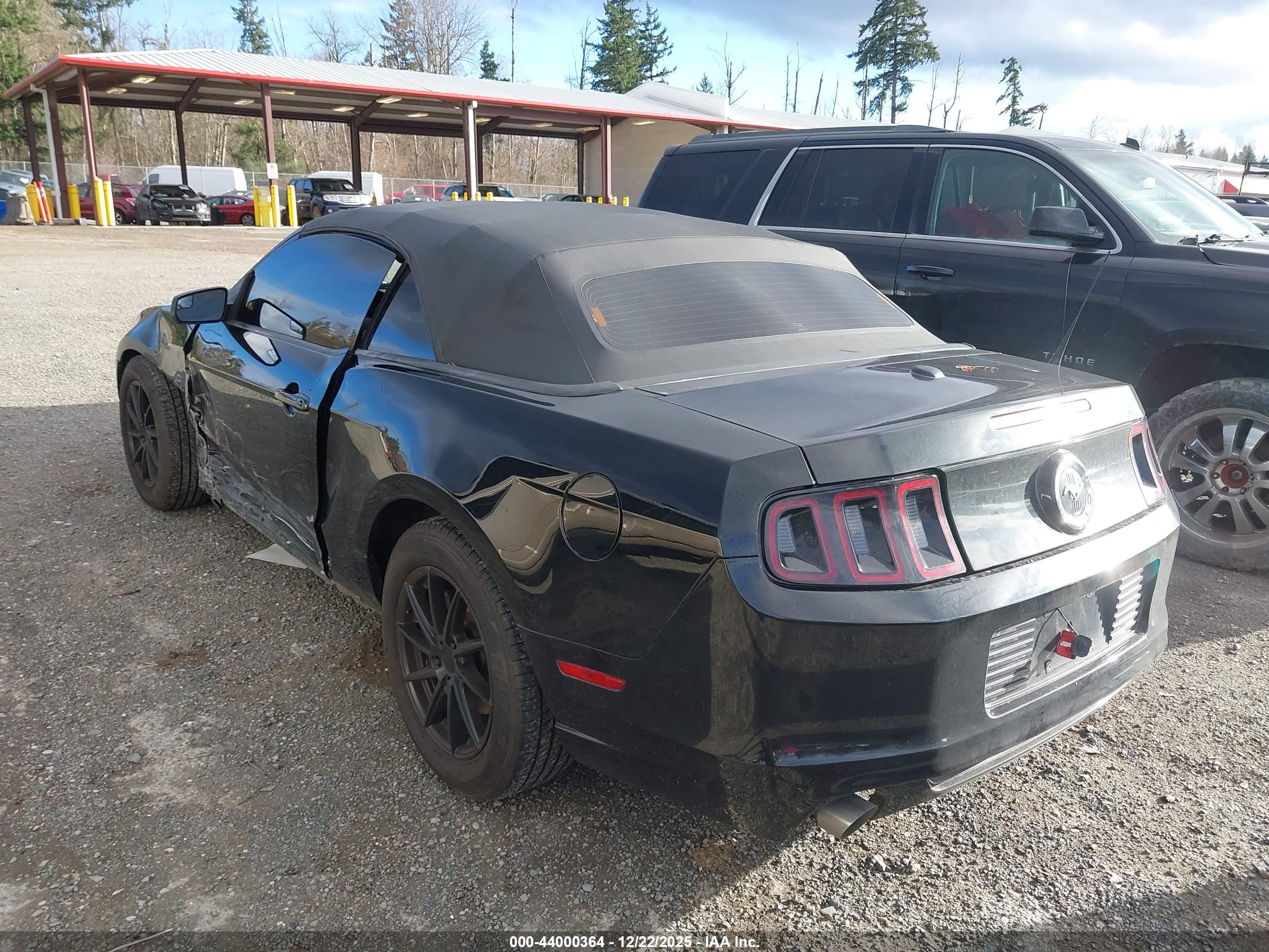 FORD MUSTANG image 3