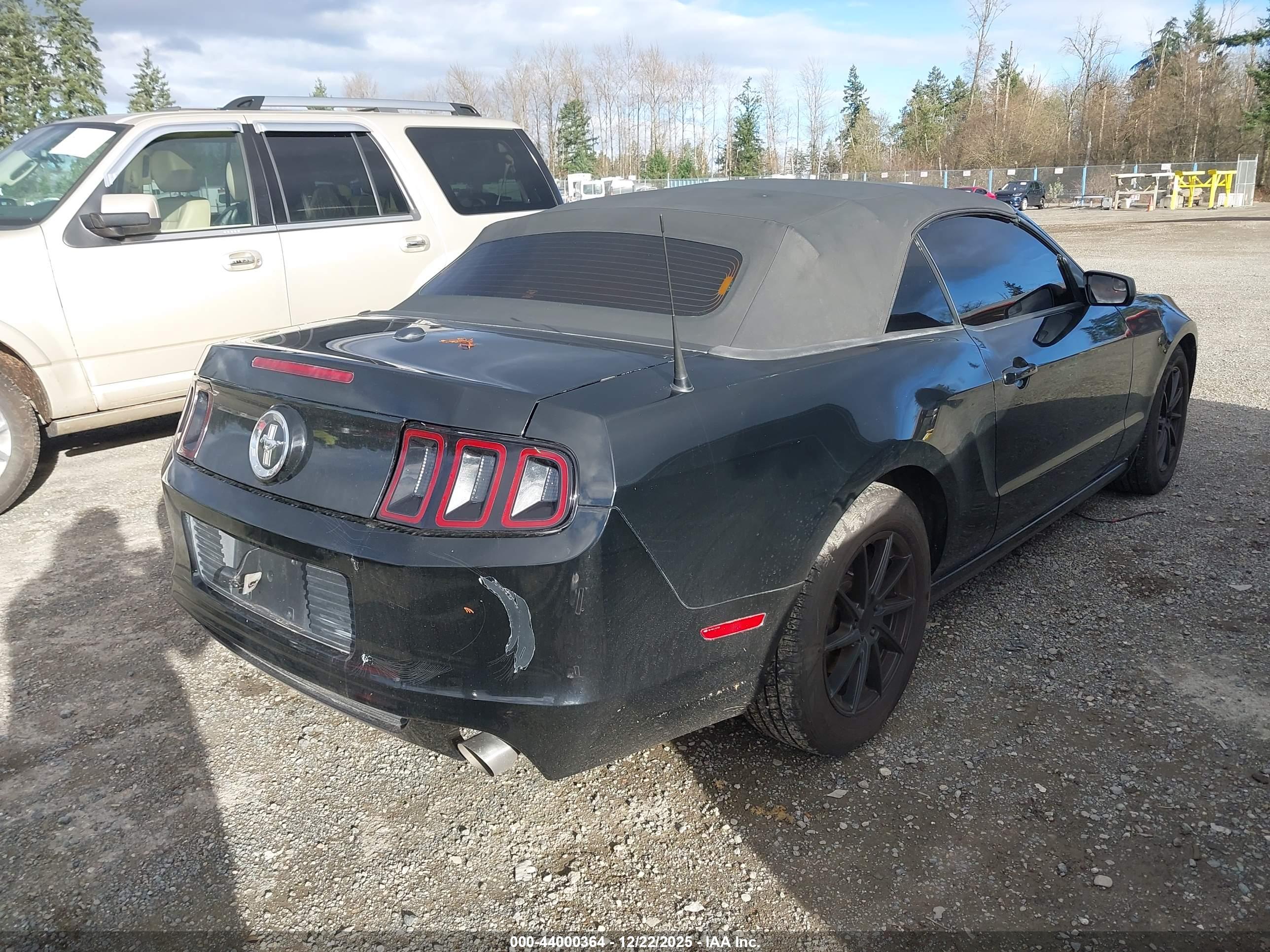 FORD MUSTANG image 4