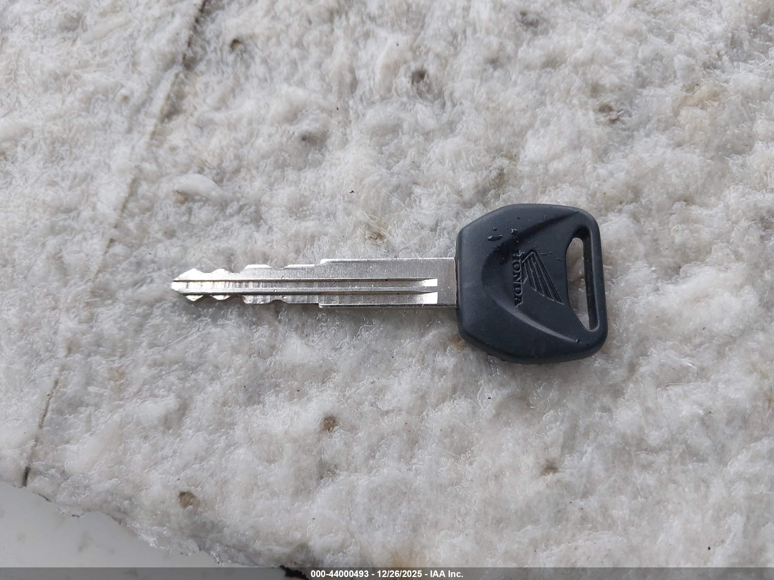 HONDA CMX300 image 11