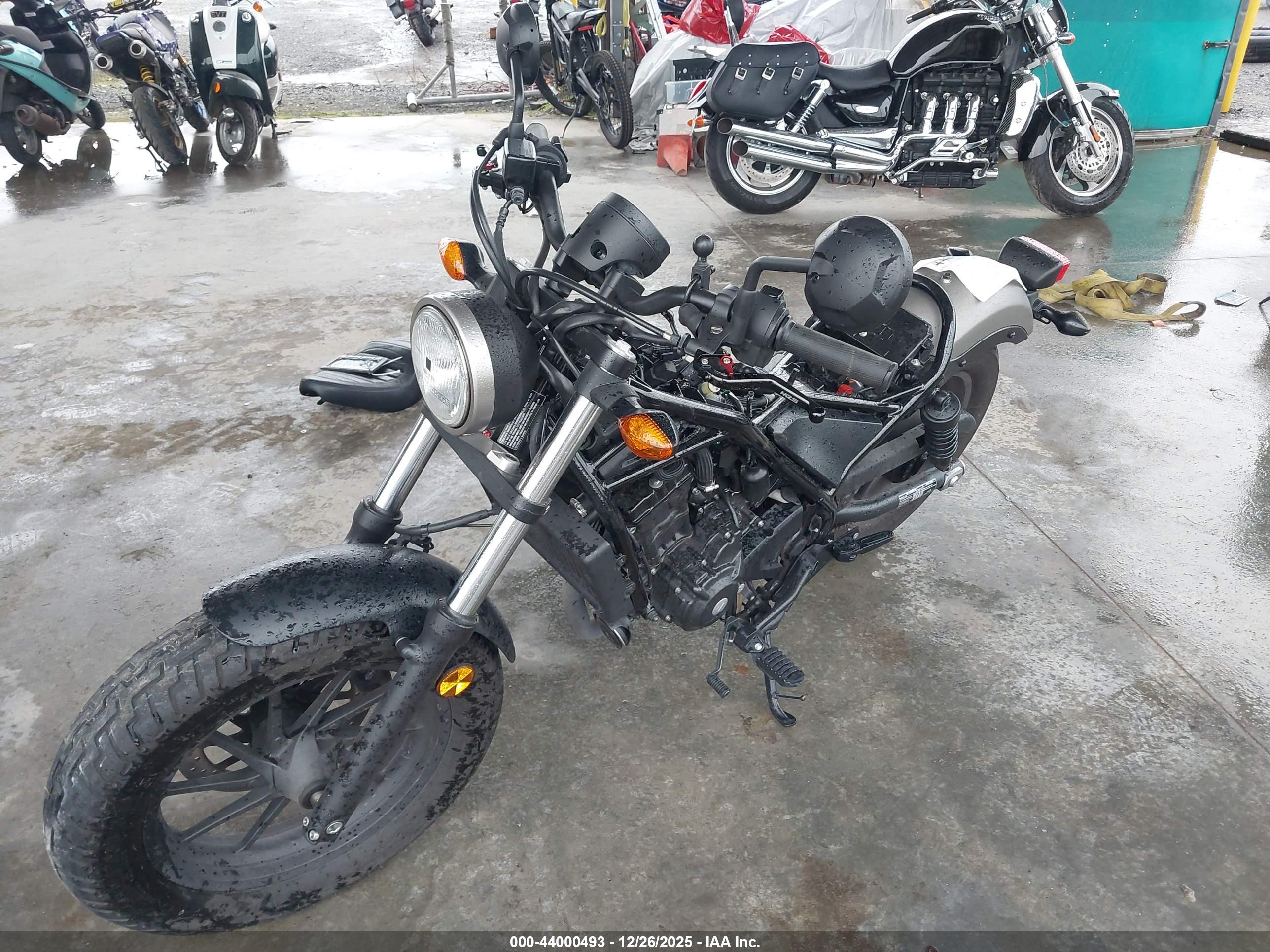 HONDA CMX300 image 2