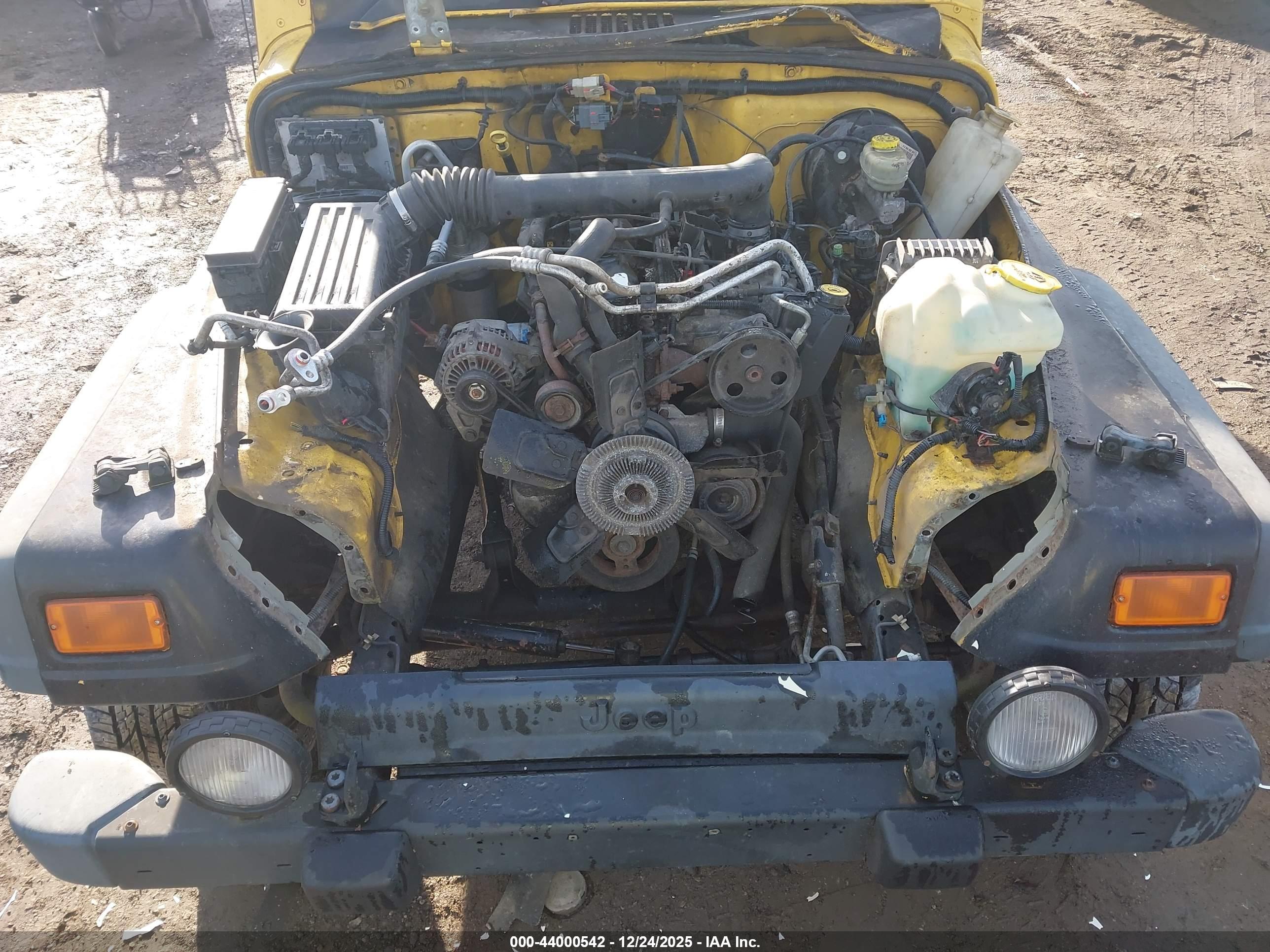 JEEP WRANGLER image 10