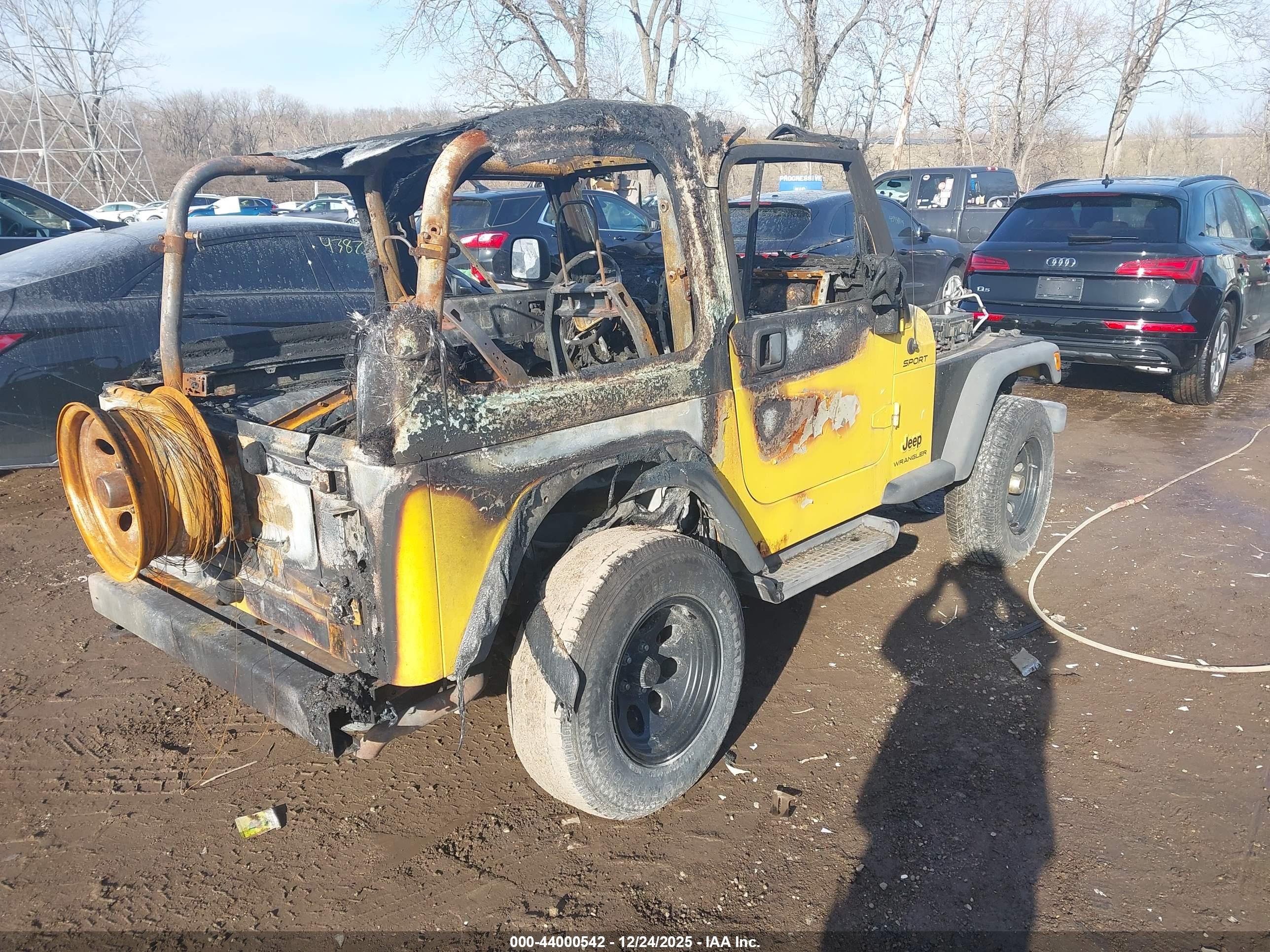 JEEP WRANGLER image 4