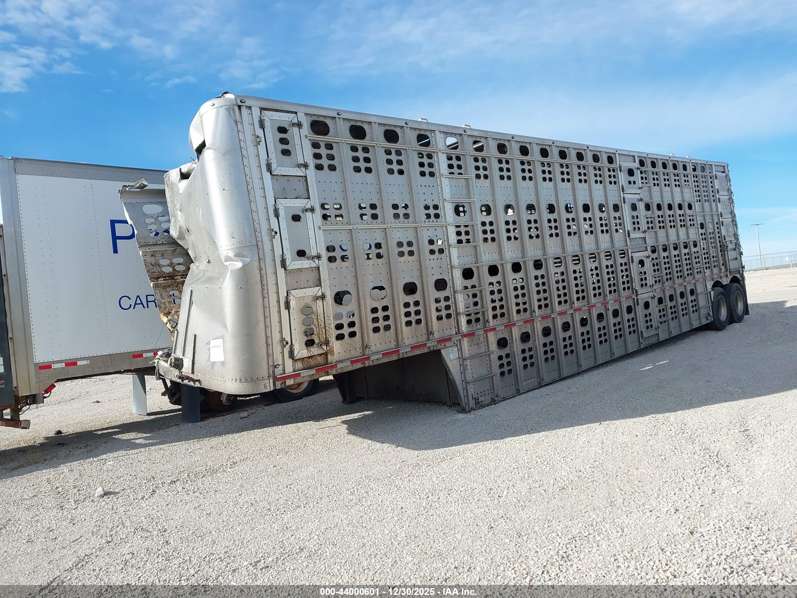 WILSON LIVESTOCK image 2