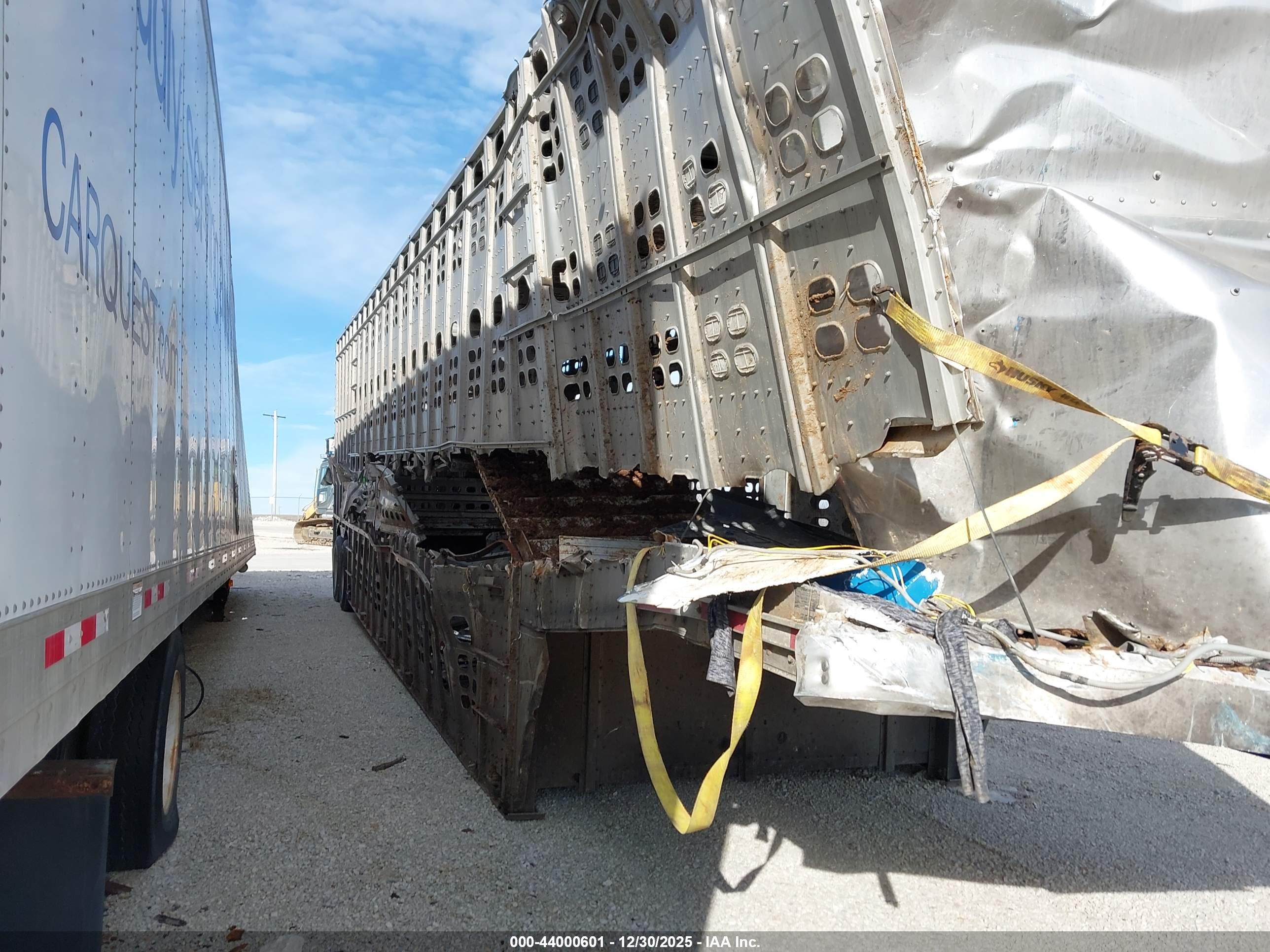 WILSON LIVESTOCK image 6