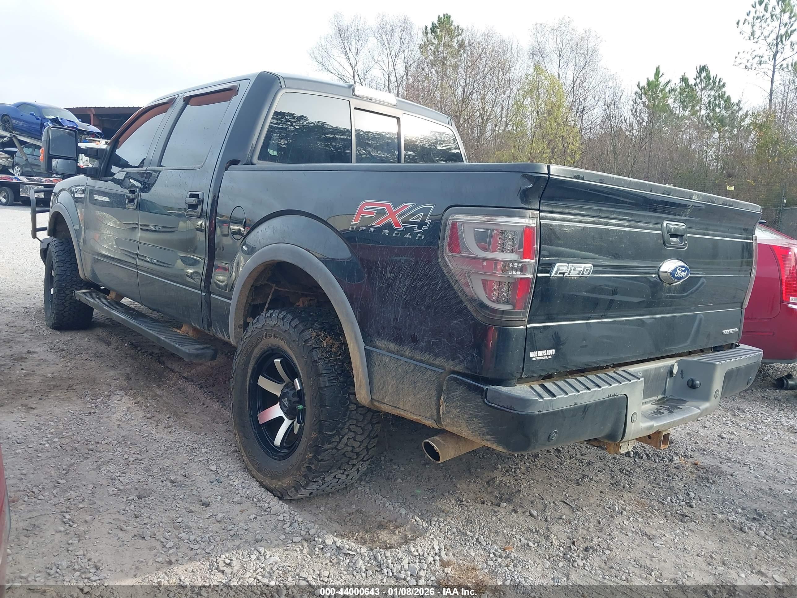 FORD F-150 image 3