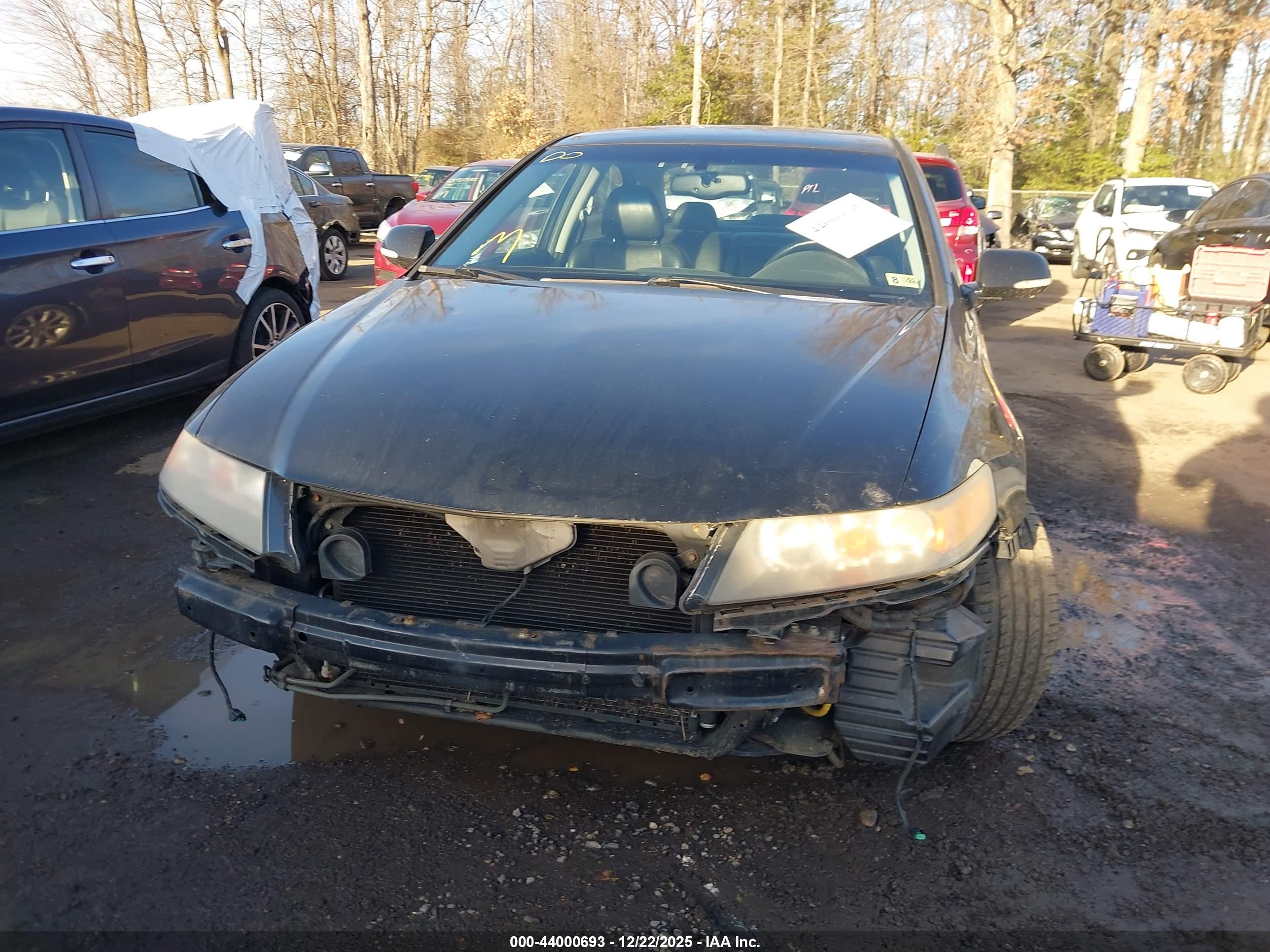 ACURA TSX image 6