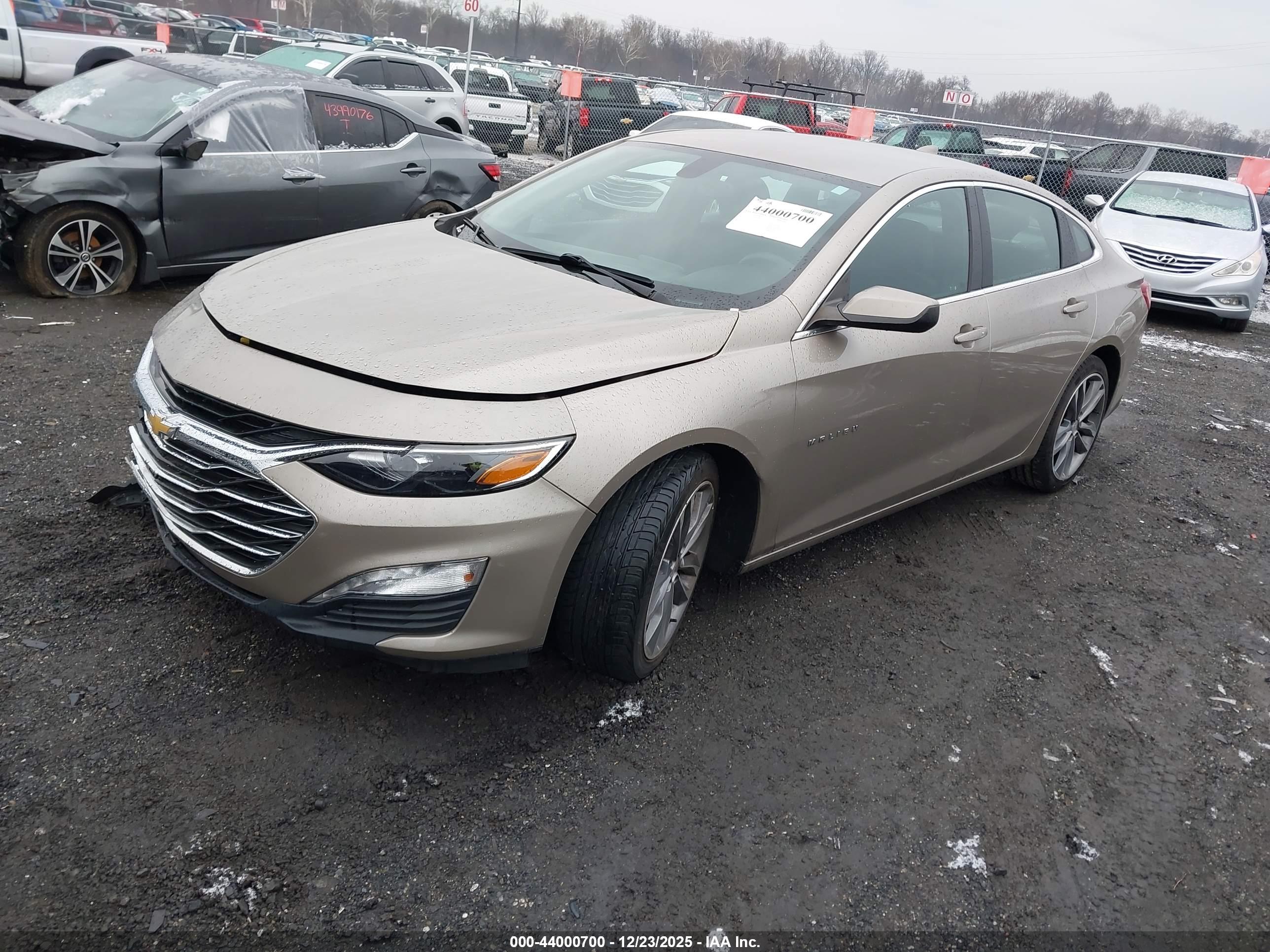 CHEVROLET MALIBU image 2
