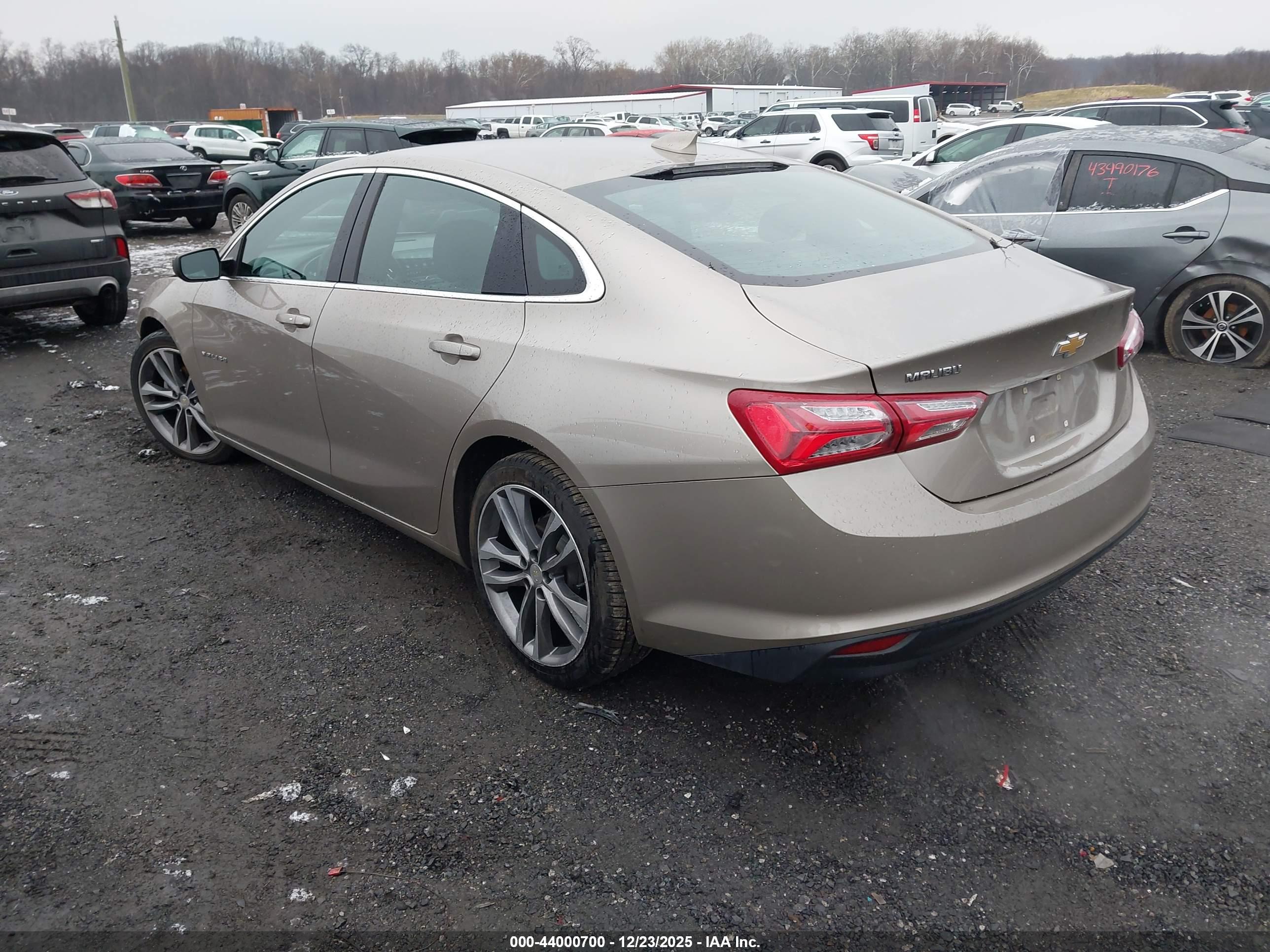 CHEVROLET MALIBU image 3
