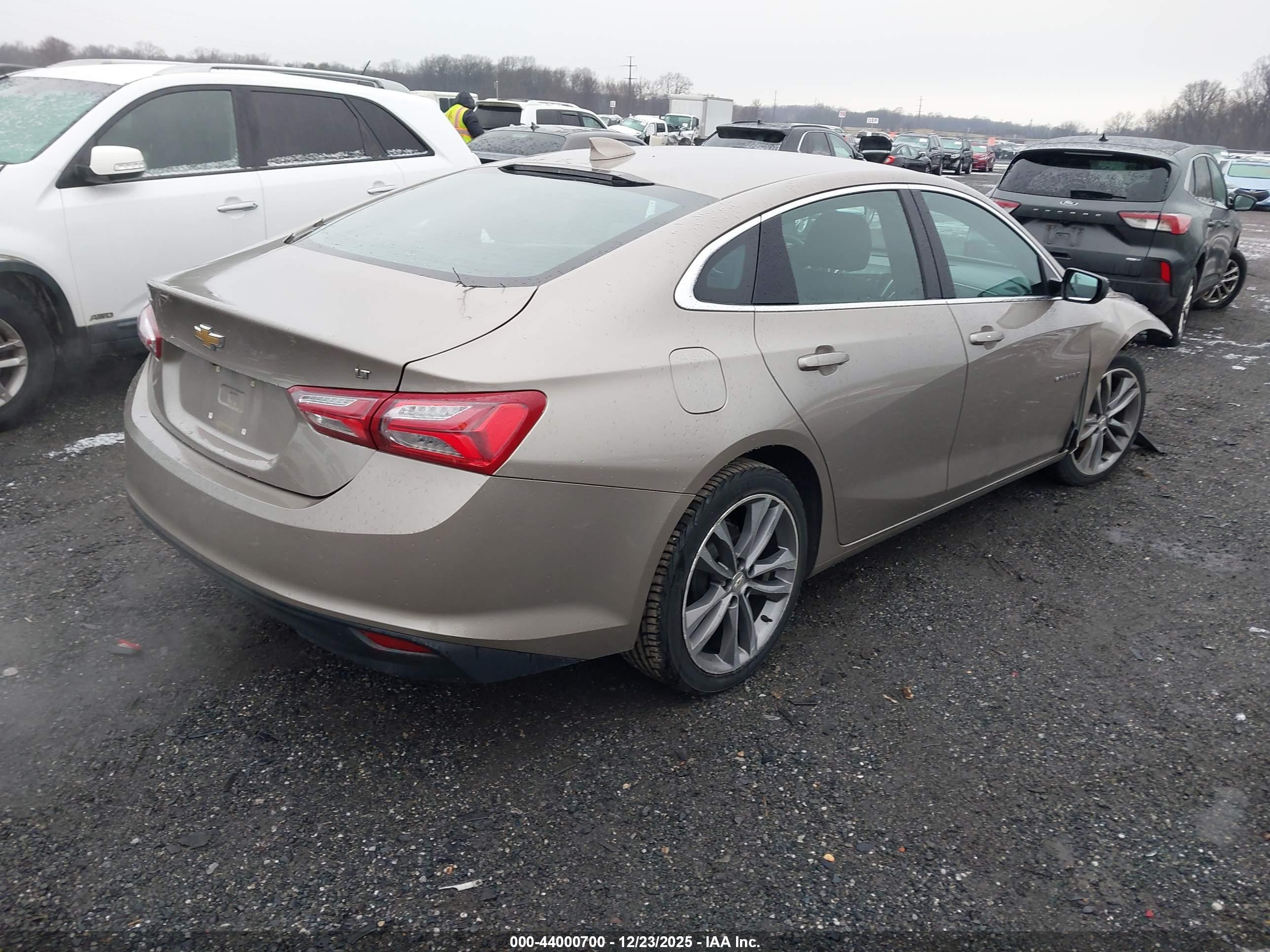 CHEVROLET MALIBU image 4