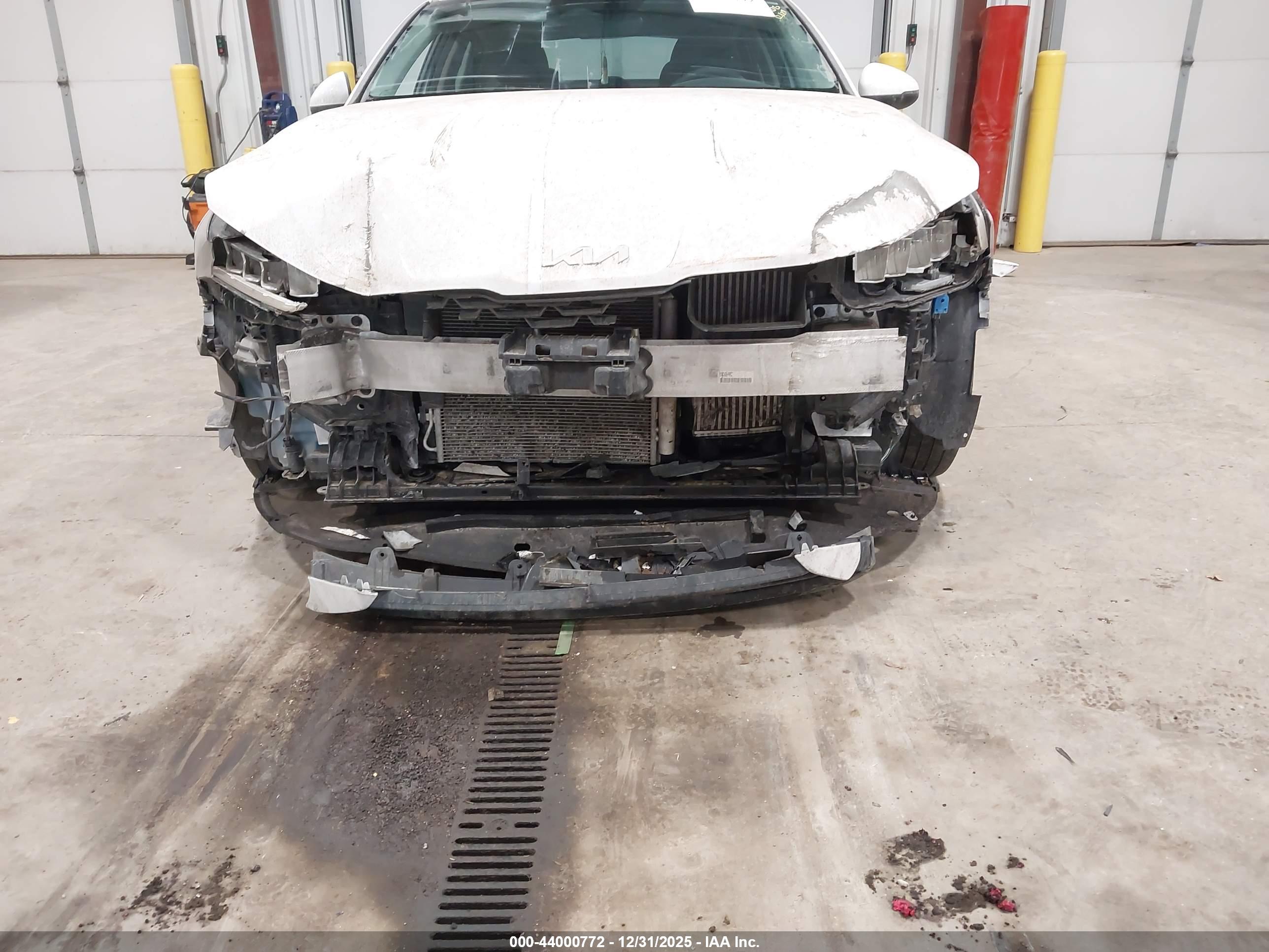 KIA K5 image 6