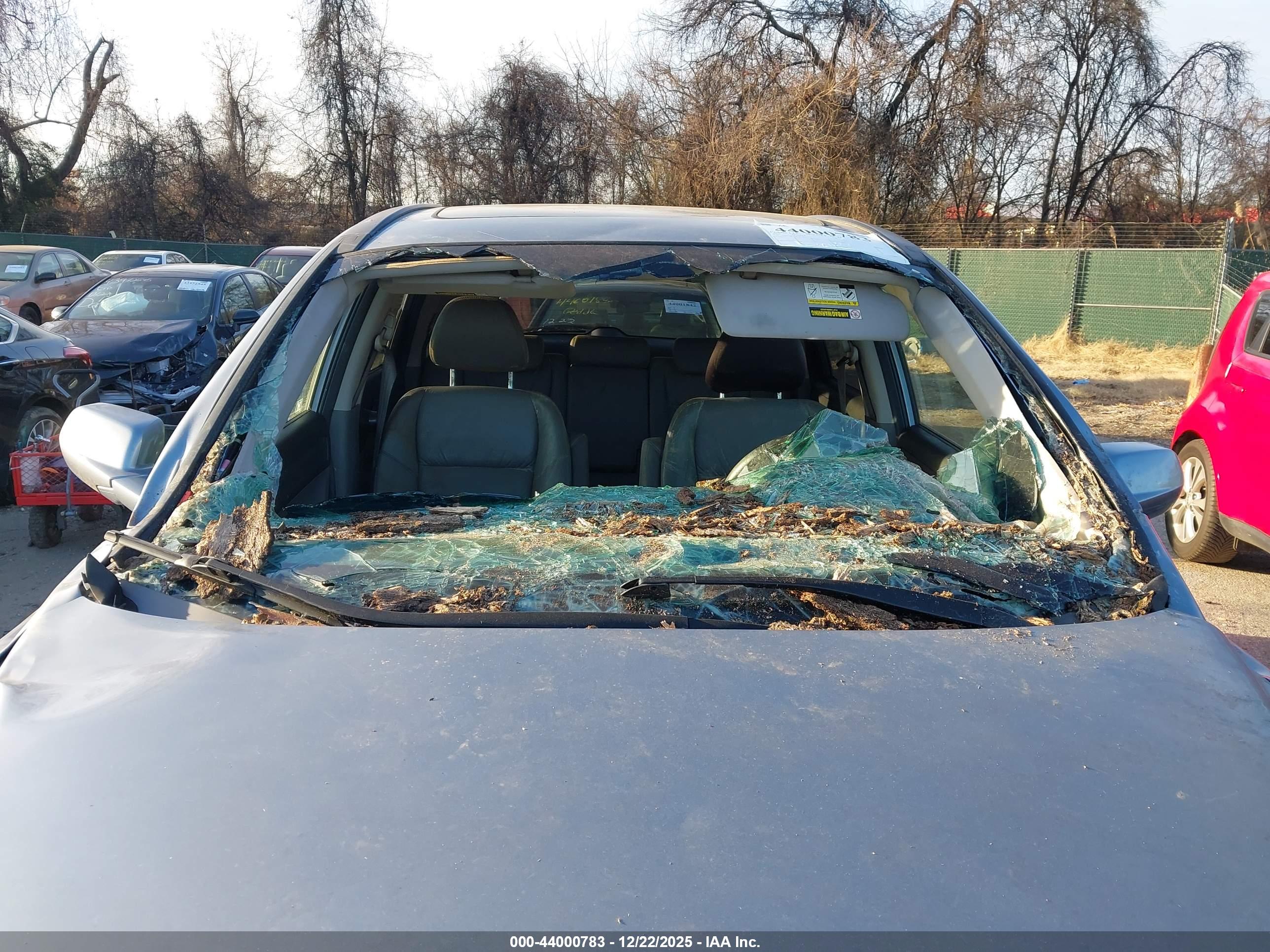 HONDA CR-V image 6