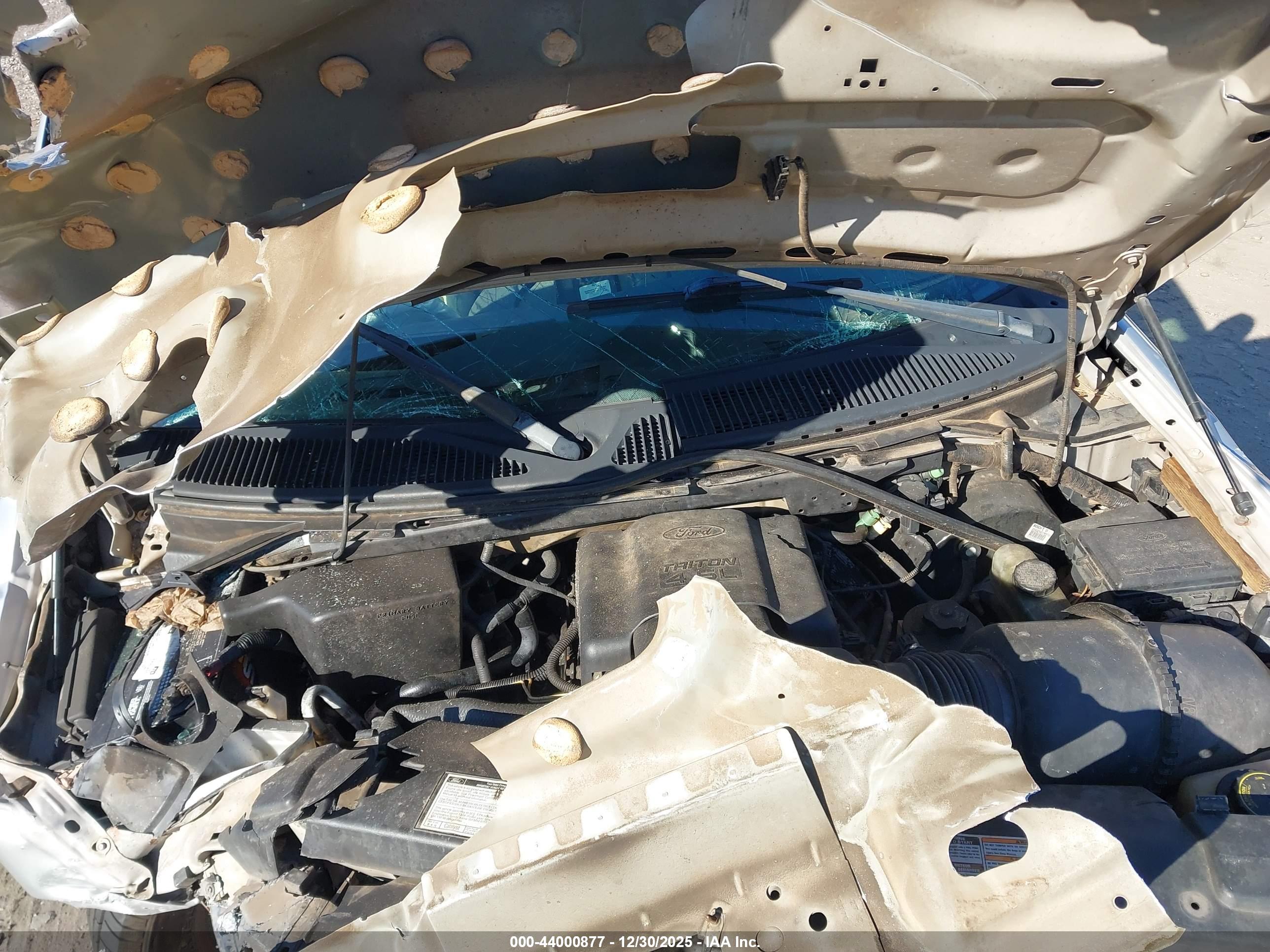 FORD EXPEDITION image 10