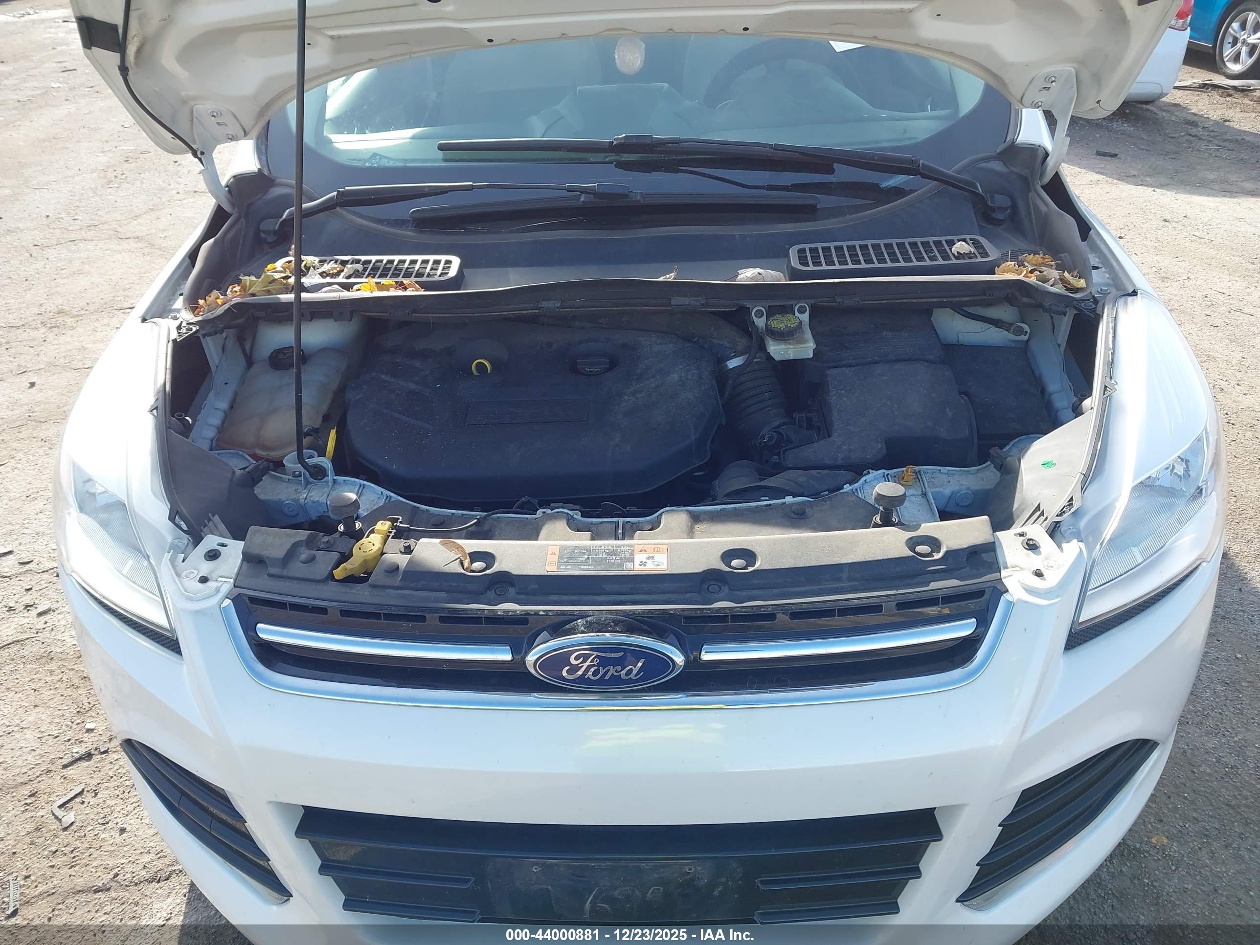 FORD ESCAPE image 10