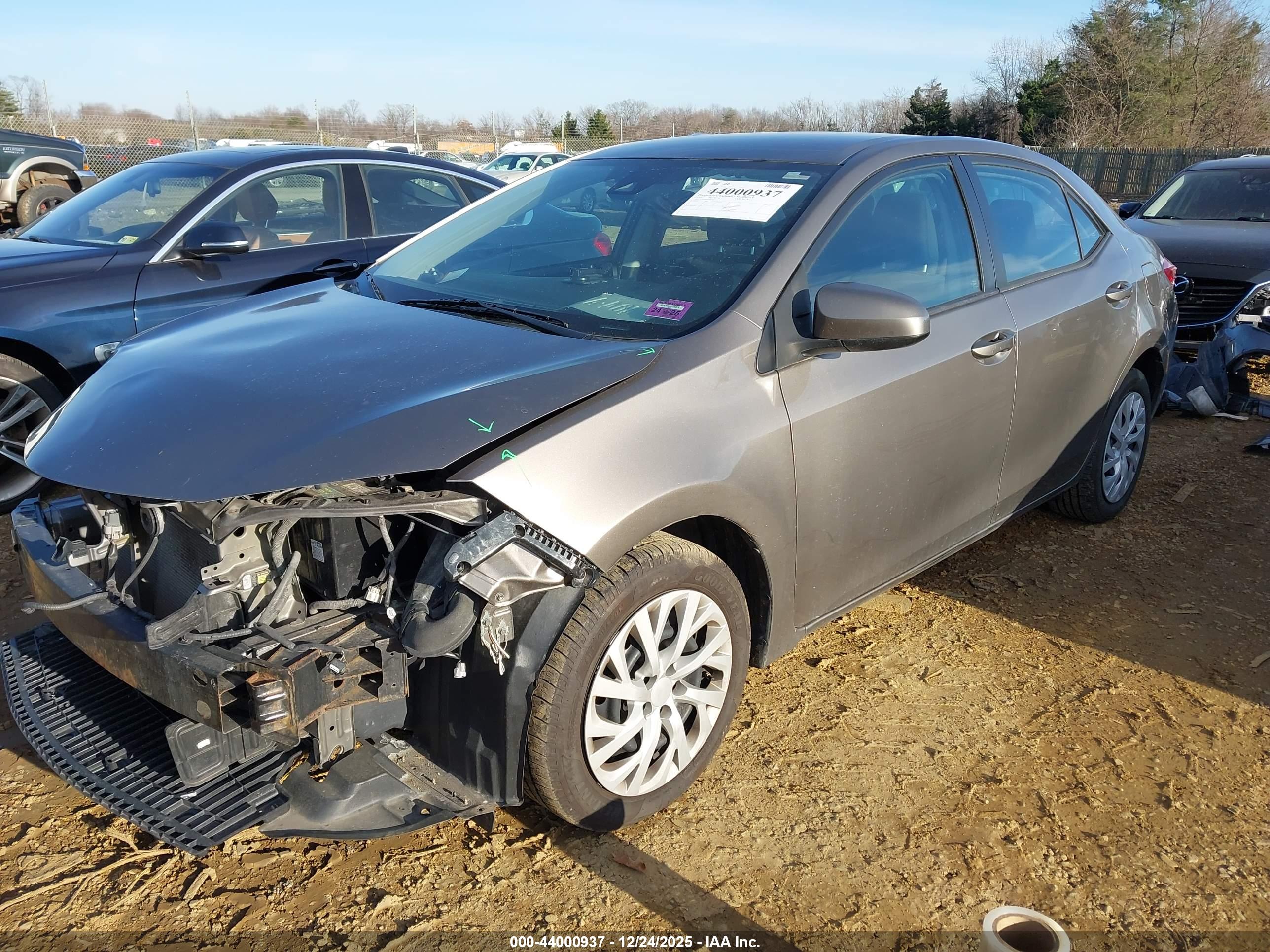 TOYOTA COROLLA image 2