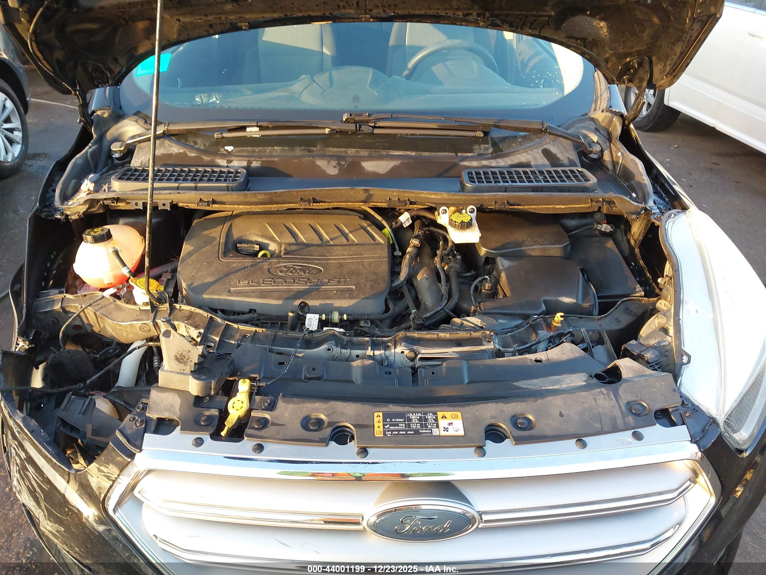 FORD ESCAPE image 10