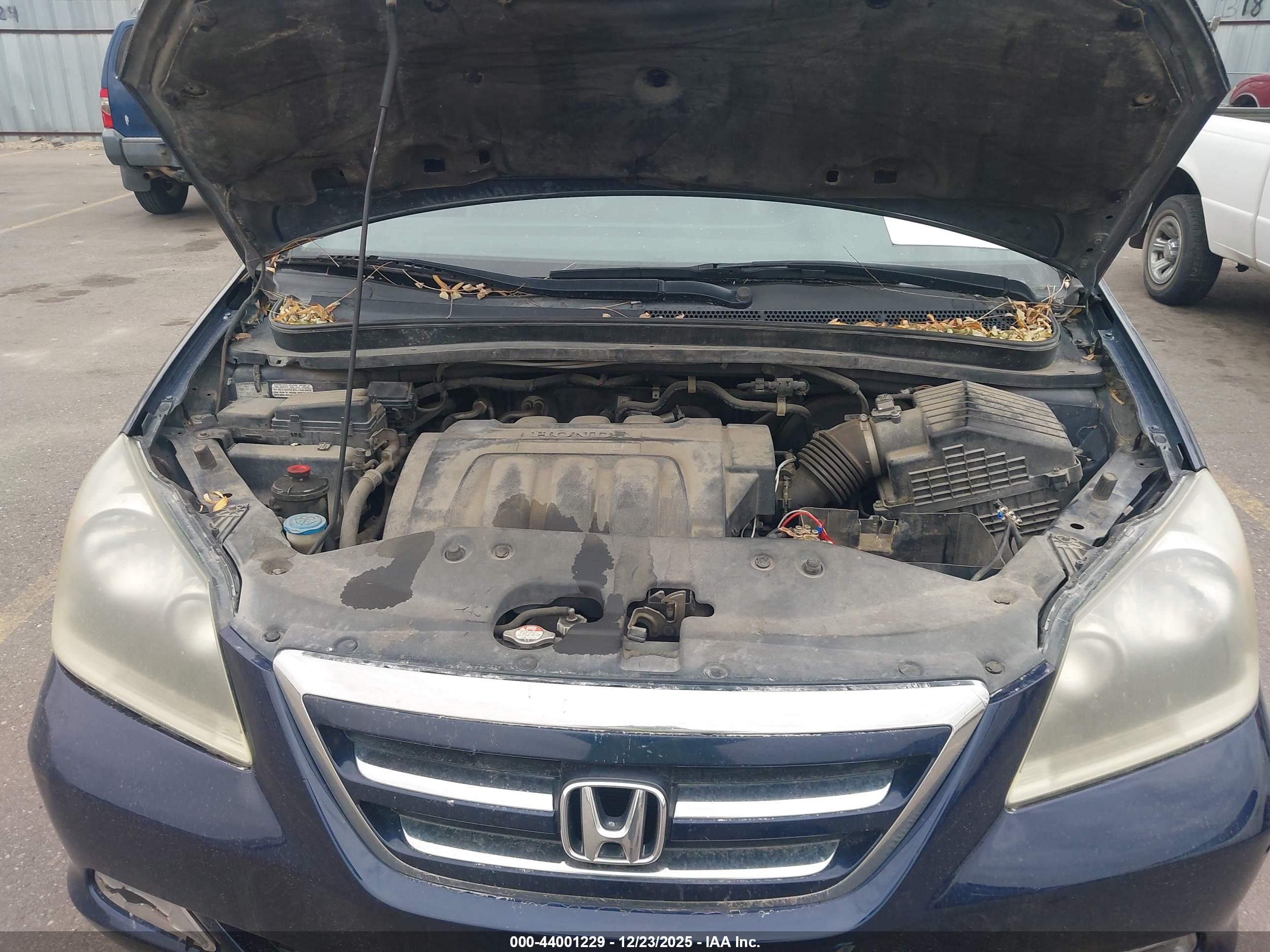 HONDA ODYSSEY image 10