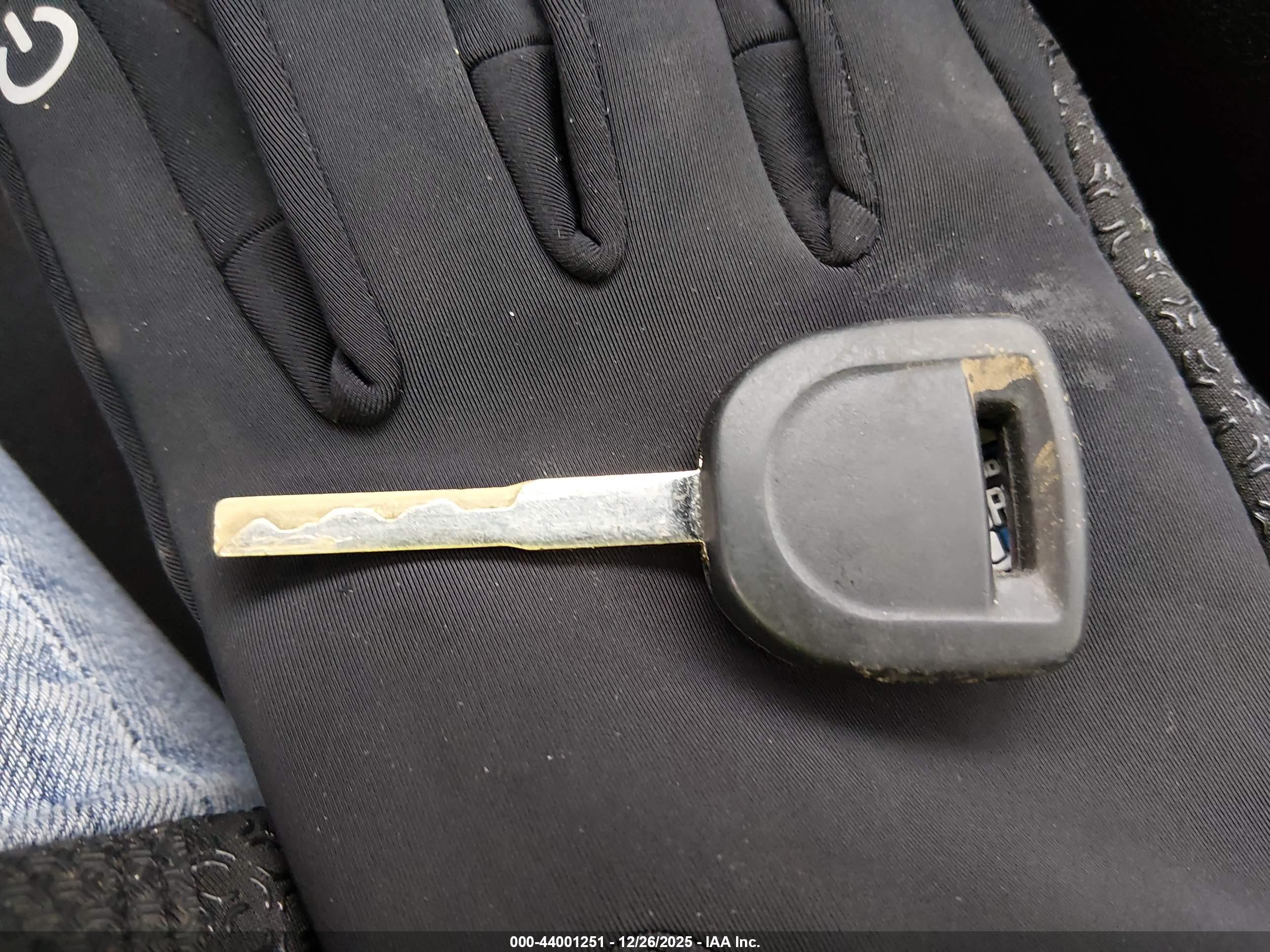 FORD FOCUS image 11