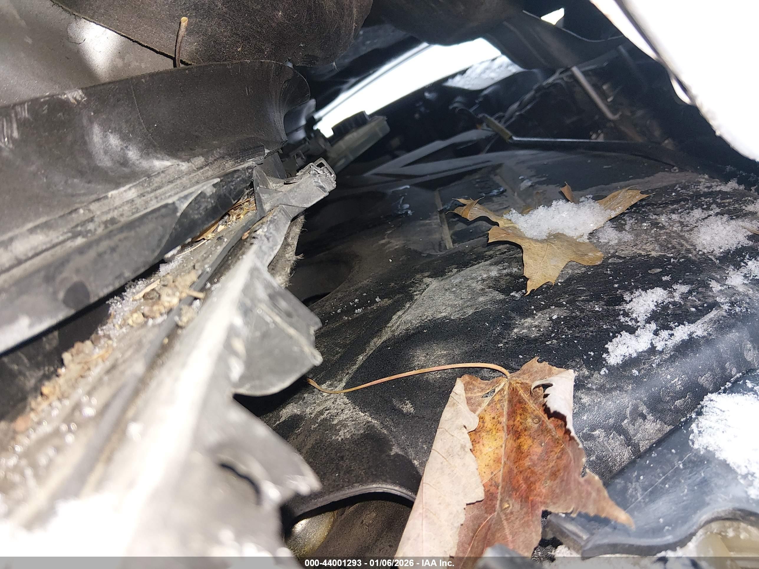 FORD ESCAPE image 10