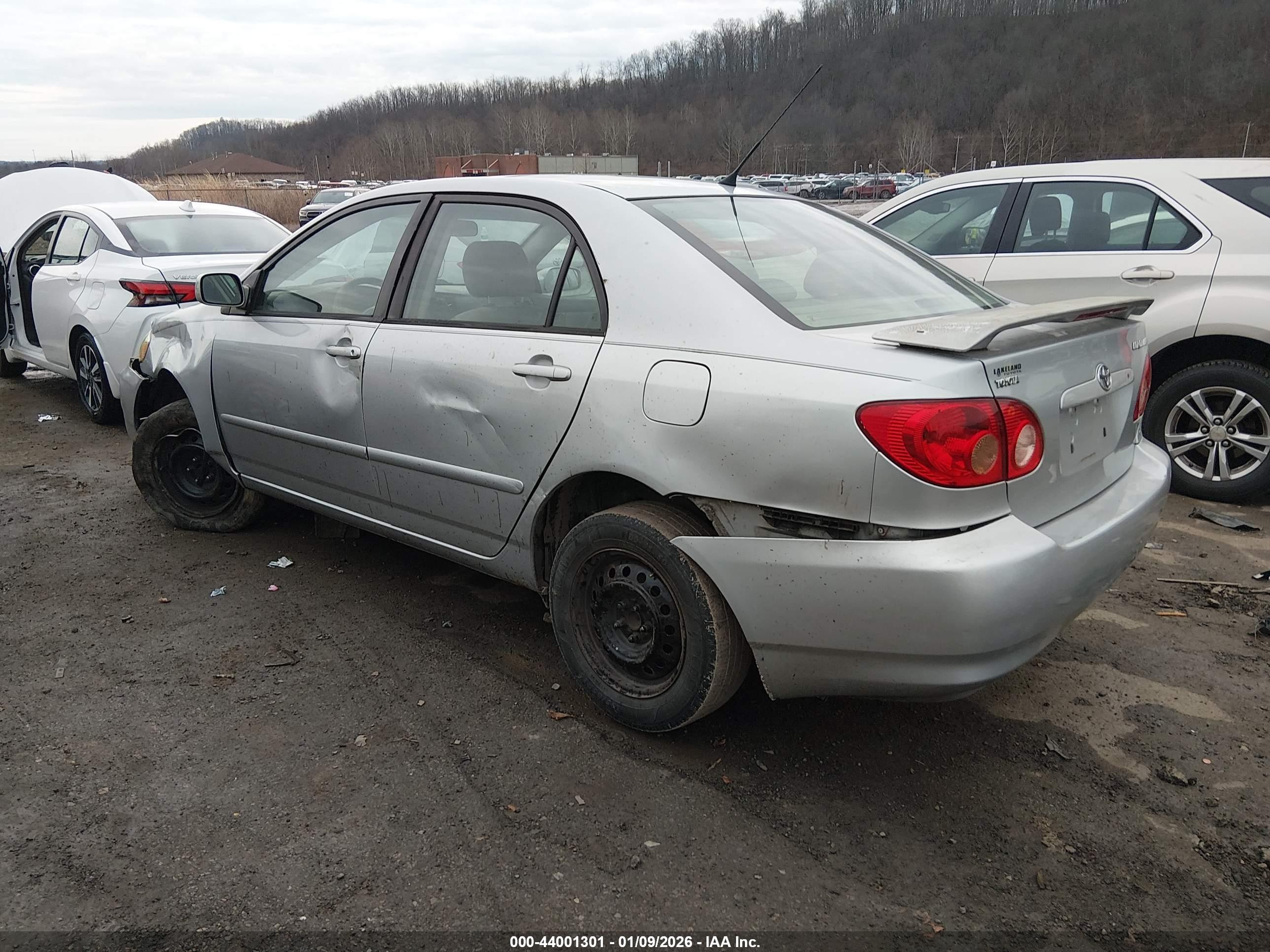 TOYOTA COROLLA image 3