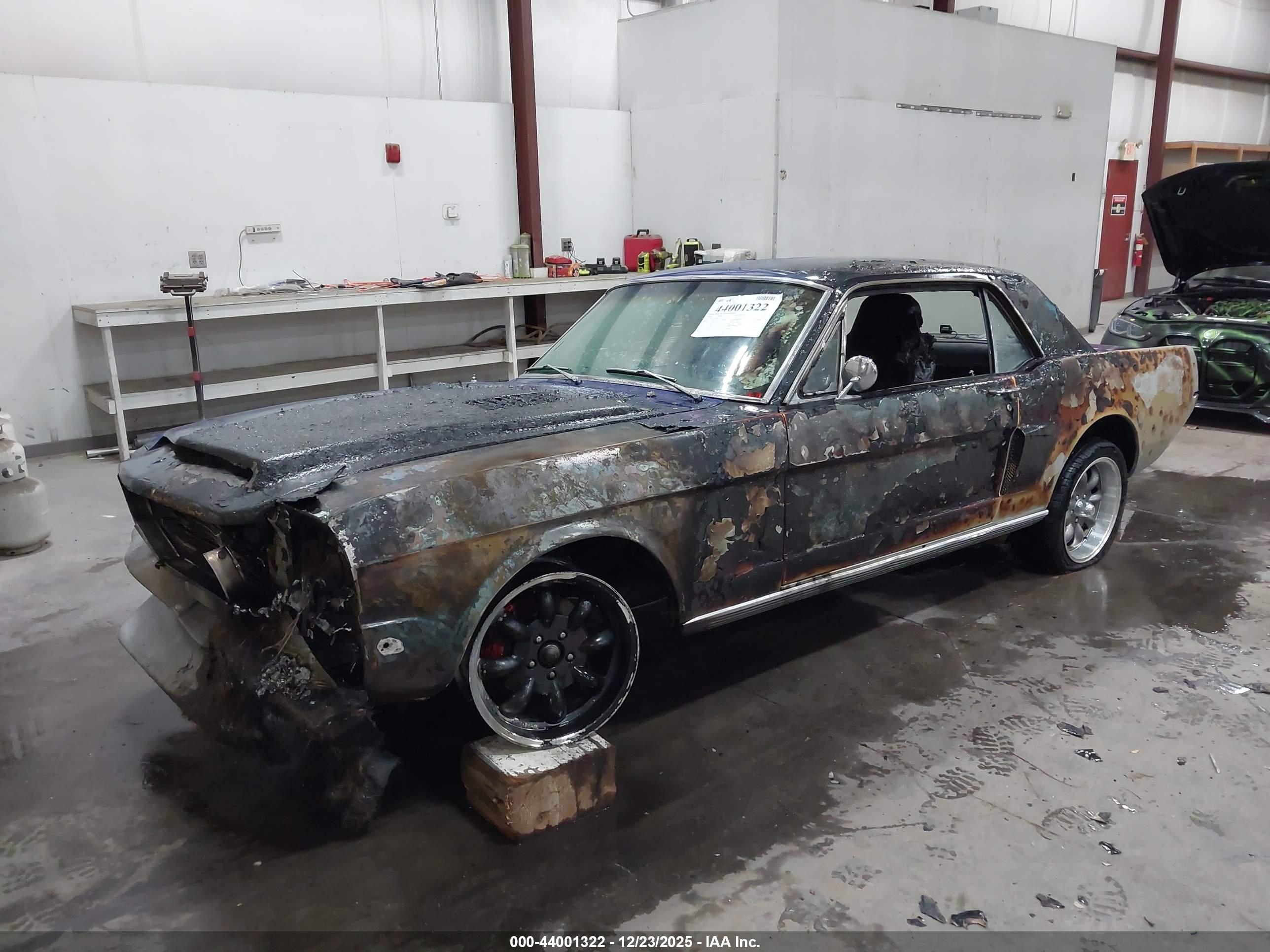 FORD MUSTANG image 2