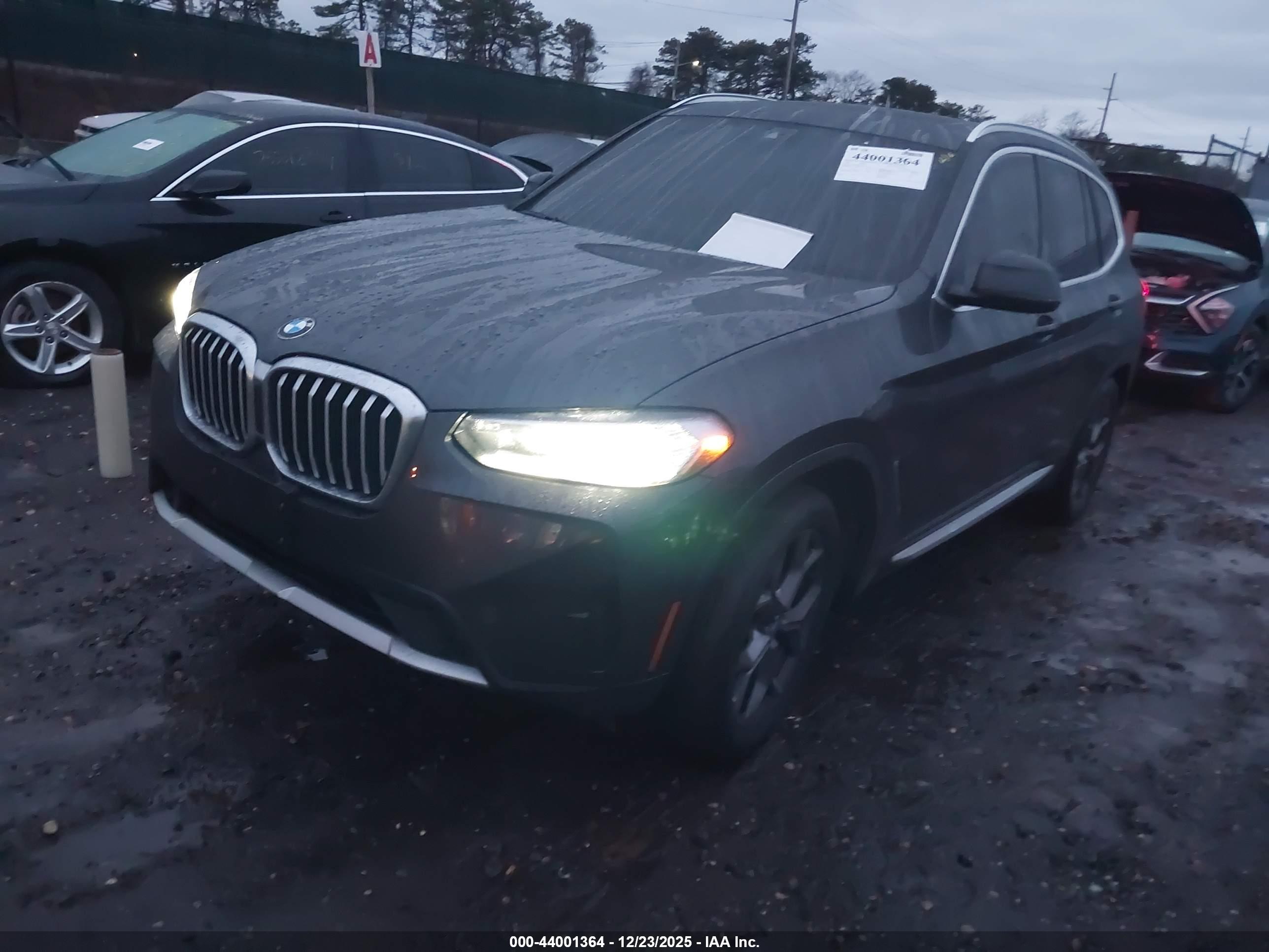 BMW X3 image 2