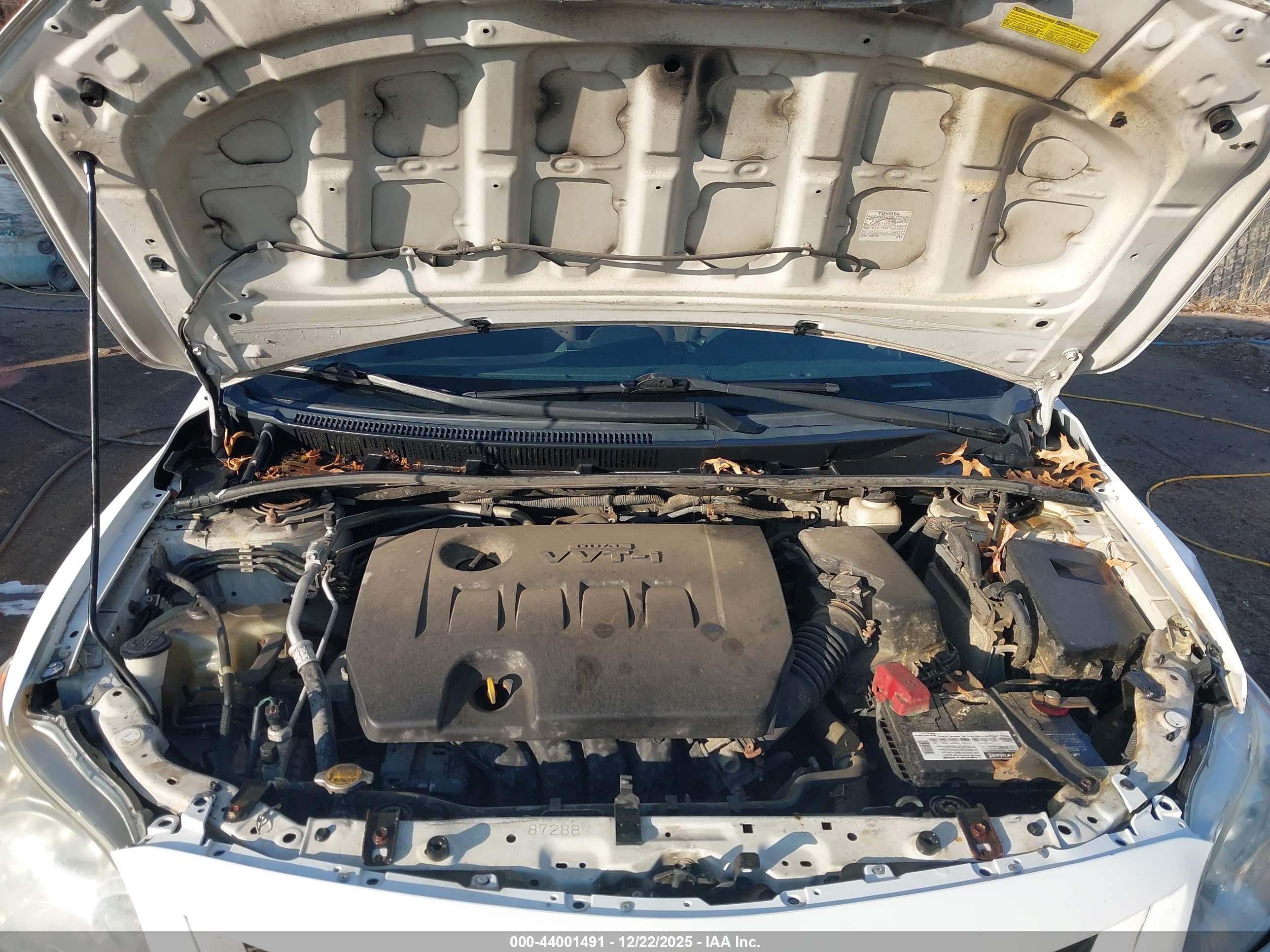 TOYOTA COROLLA image 10